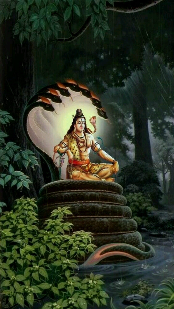 Lord Shiva HD Mobile Wallpaper Mobile Walls