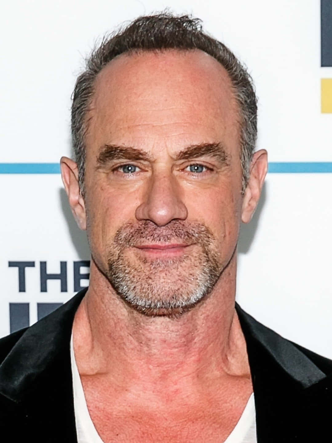 Download Christopher Meloni [wallpaper] Wallpaper