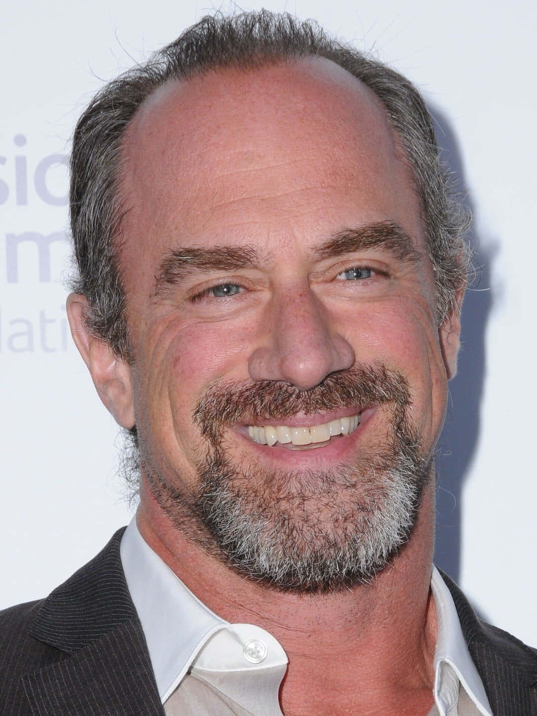 Download Christopher Meloni [wallpaper] Wallpaper