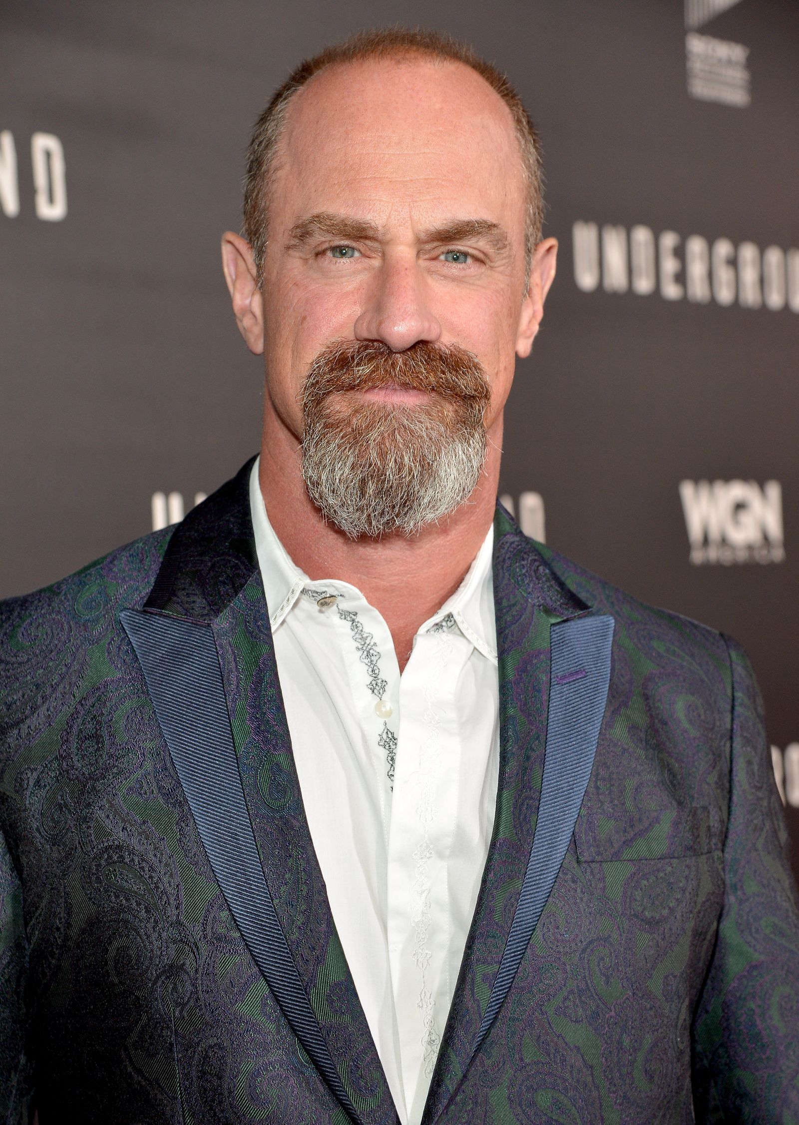 Christopher Meloni's Glorious Goatee Will Hypnotize You