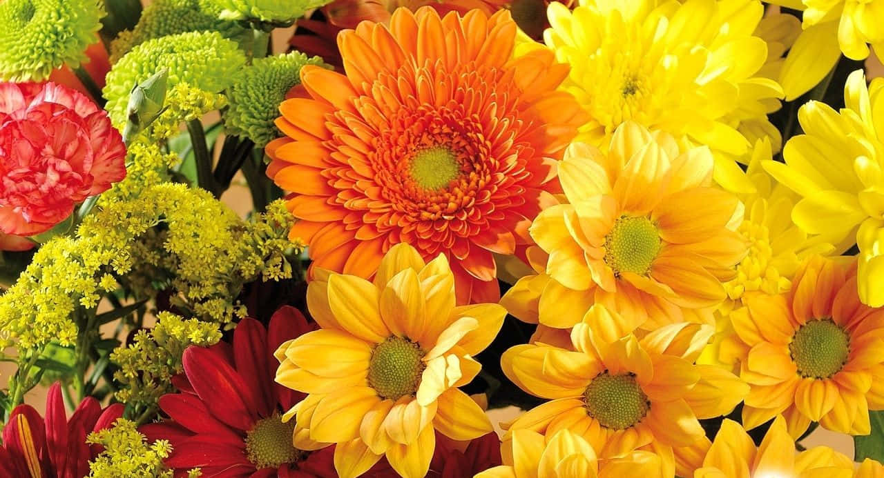 Download Beautiful Fall Flowers in Full Bloom Wallpaper
