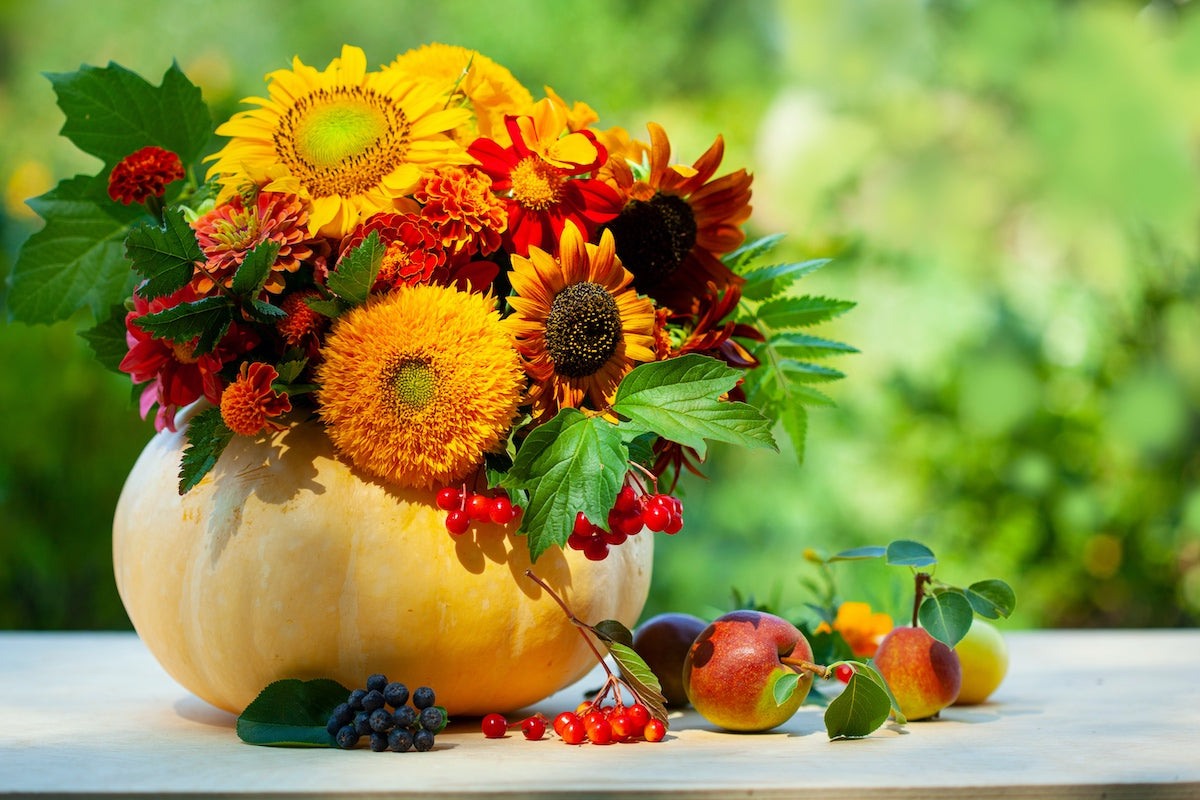 Our Favorite Fall Flowers to Plant for Autumn Blooms