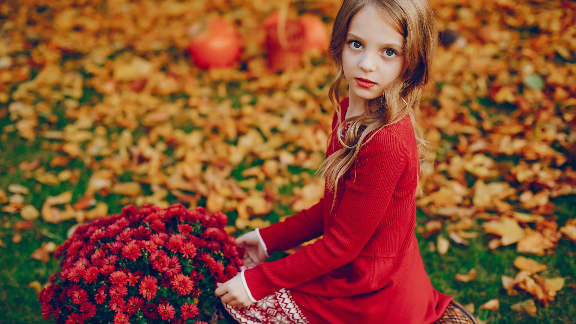 cute little girl wearing red top autumn park yellow leaves blur background HD Cute Wallpaper
