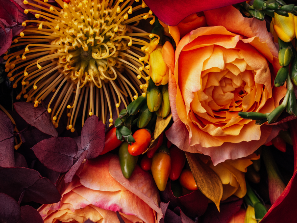 Top Fall Flowers to Plant for Autumn Color That Aren't Mums