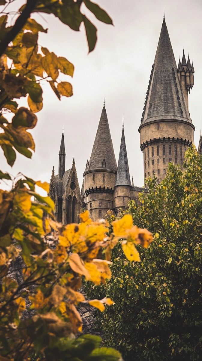 Autumn at Hogwarts