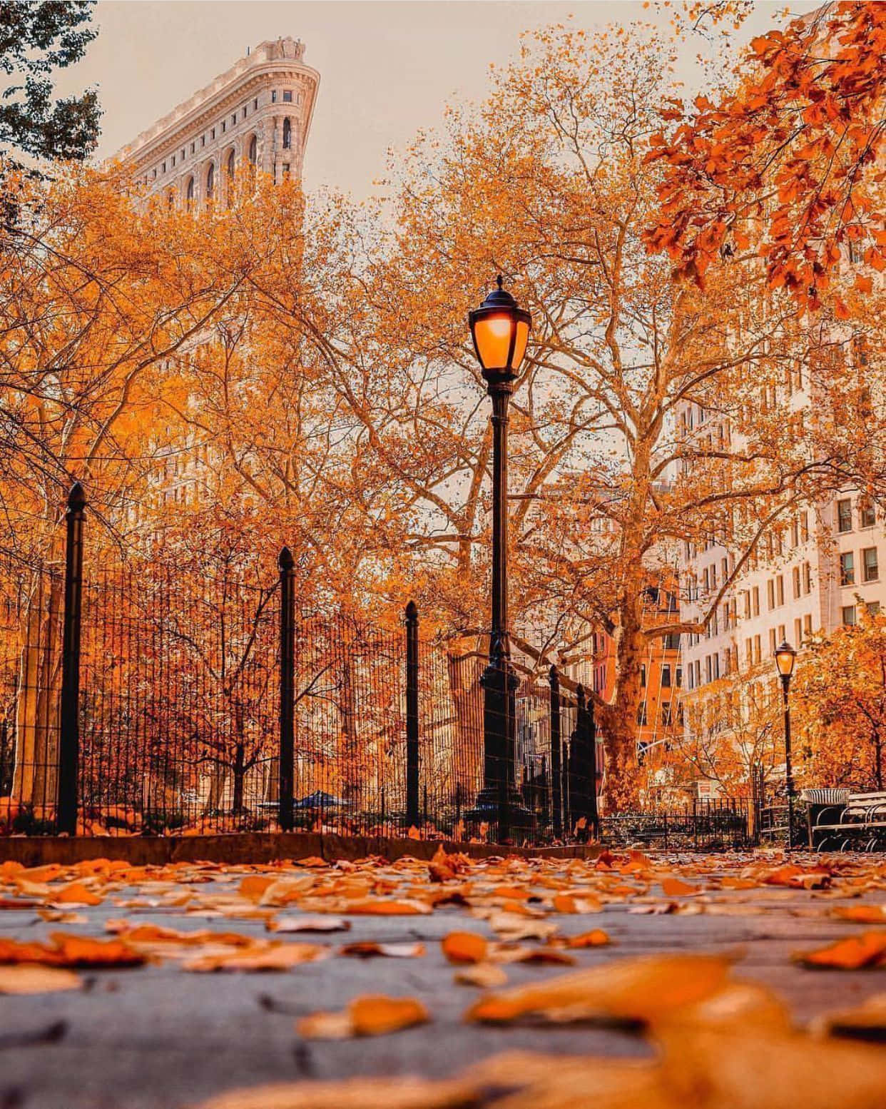 Download Scenic Fall City Landscape with Colorful Foliage Wallpaper