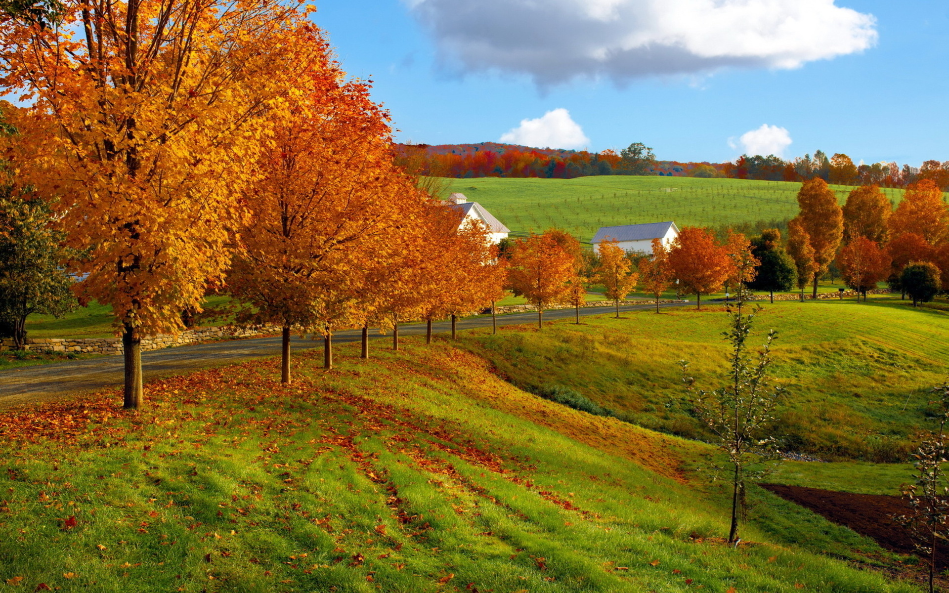 nature, Landscapes, Autumn, Fall, Seasons, Leaves, Fields, Grass, Roads, Fence, Farm, Architecture, Buildings, Houses, Barn, Sky, Clouds, Hills, Color Wallpaper HD / Desktop and Mobile Background