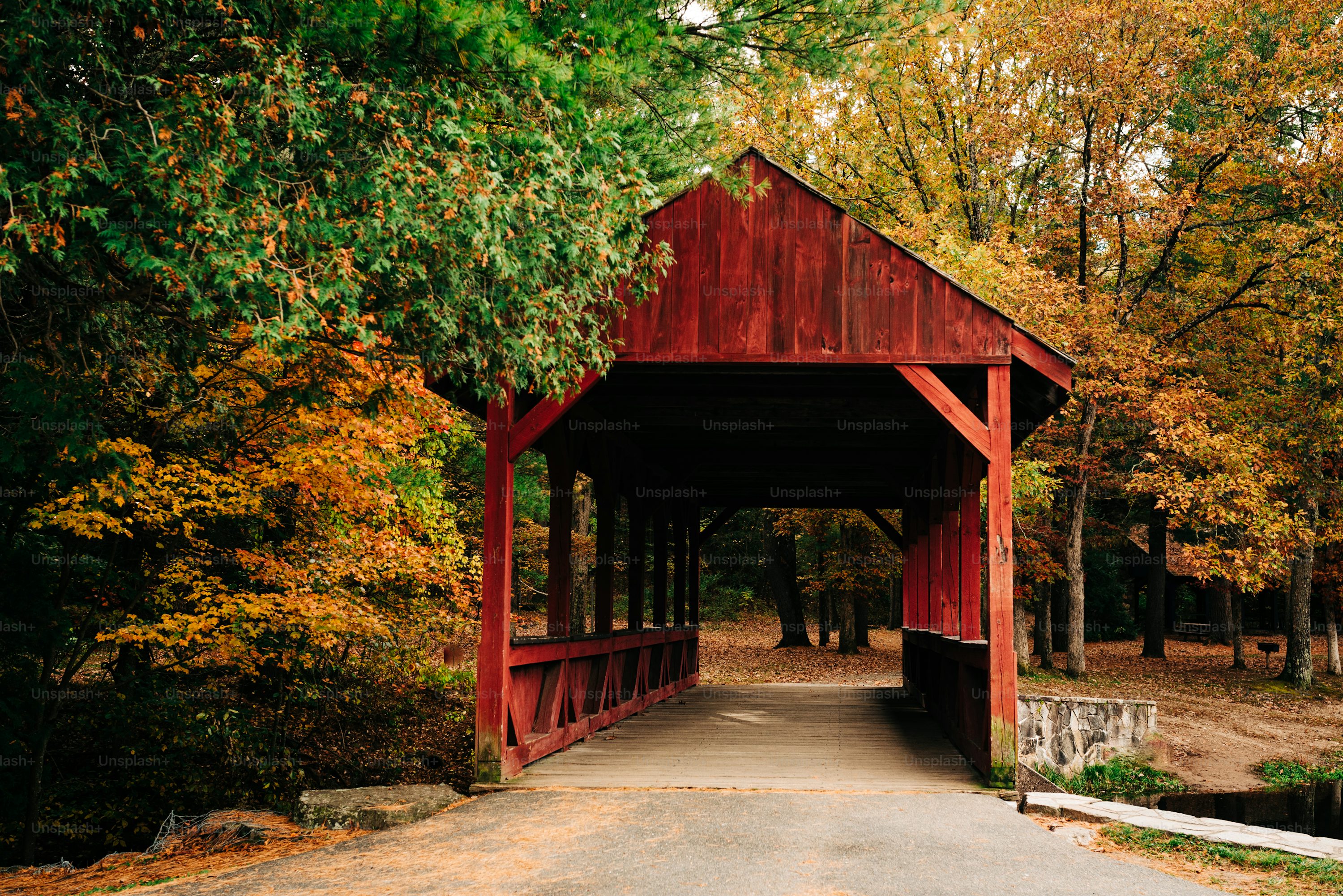 Autumn Landscape Picture. Download Free Image