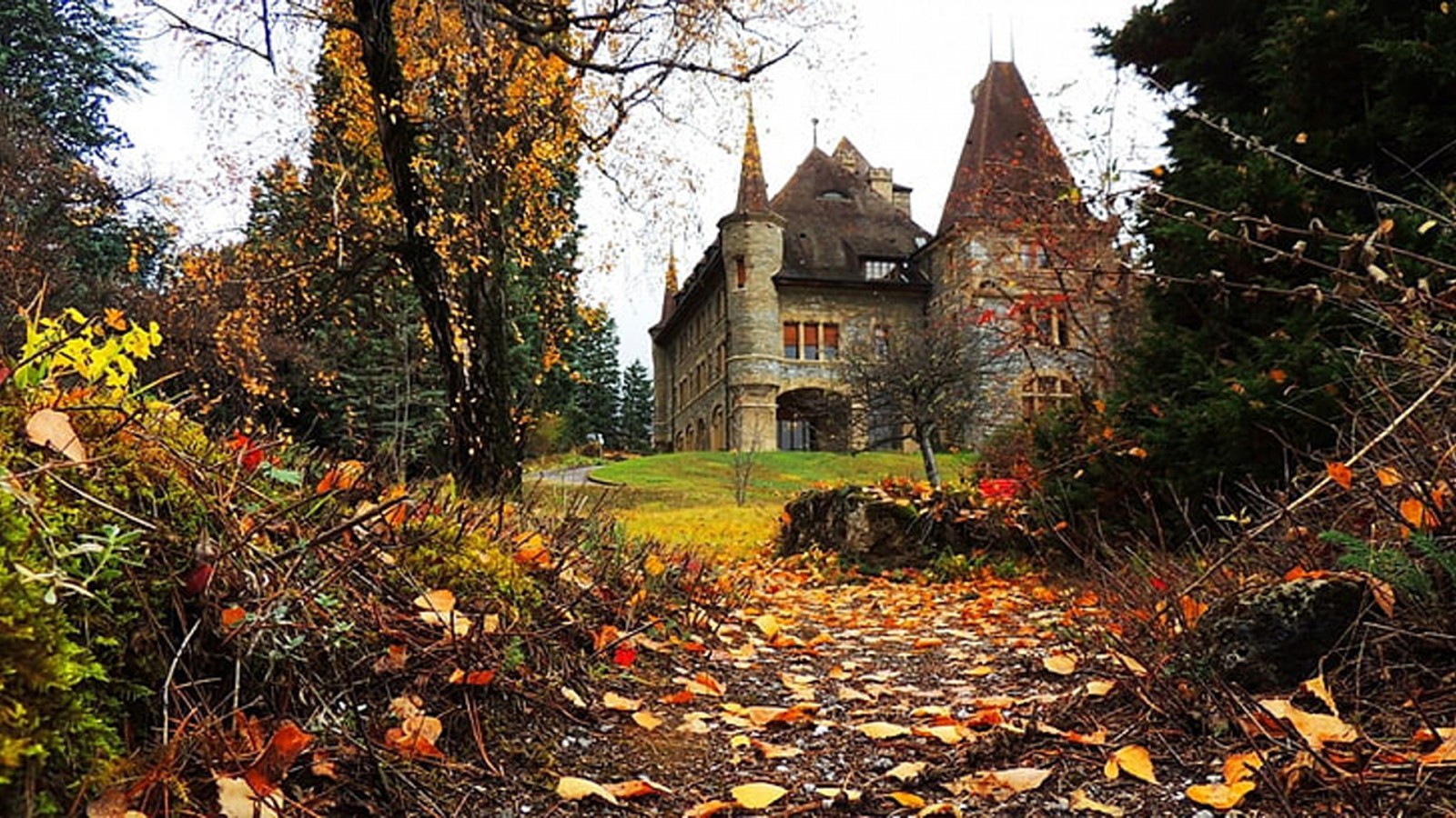 Landscape View Of Architecture Building Dry Autumn Leaves Grass Trees HD Nature Wallpaper