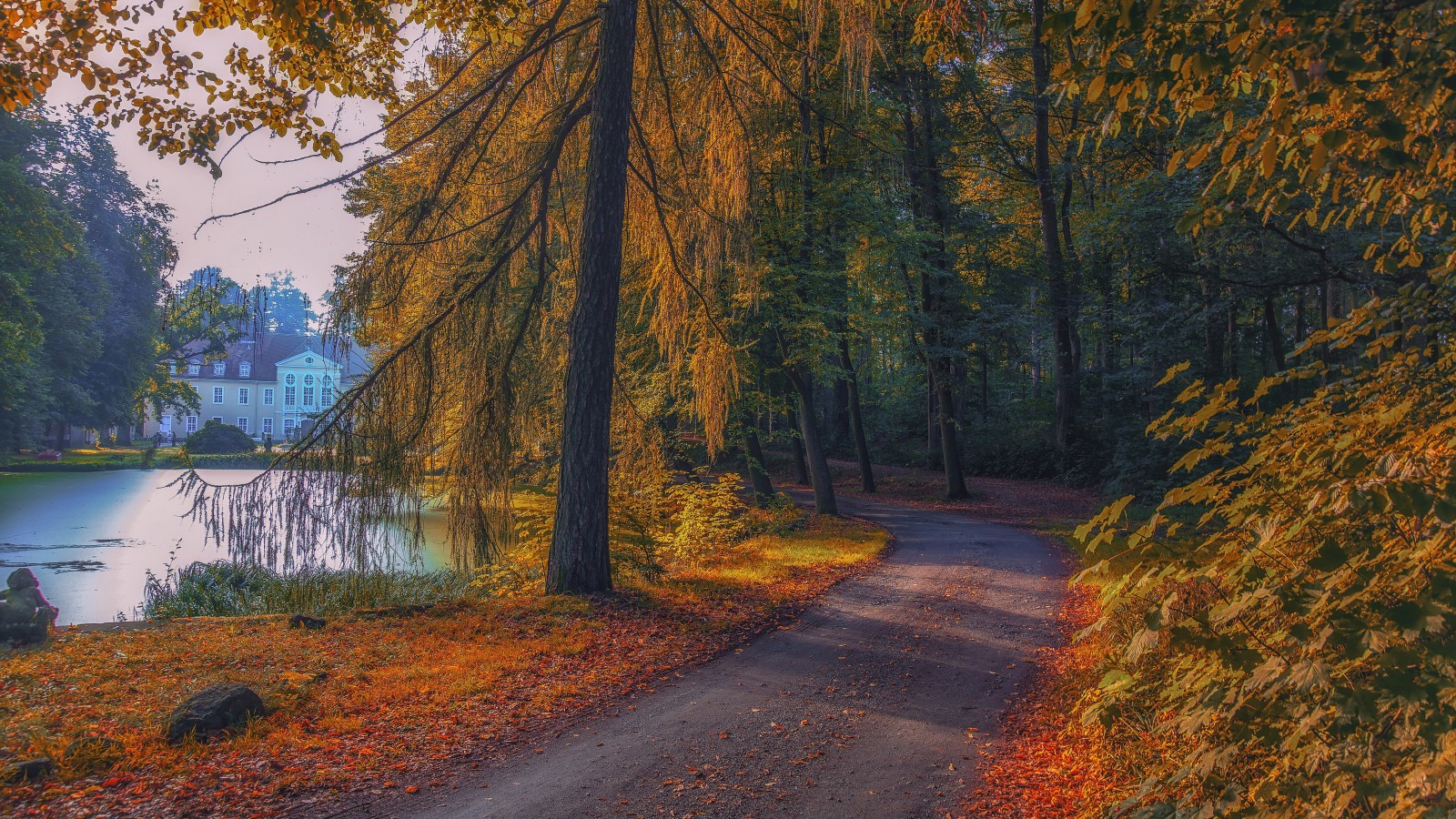 Park Road Near Lake And Building During Fall 4K 5K HD Nature Wallpaper