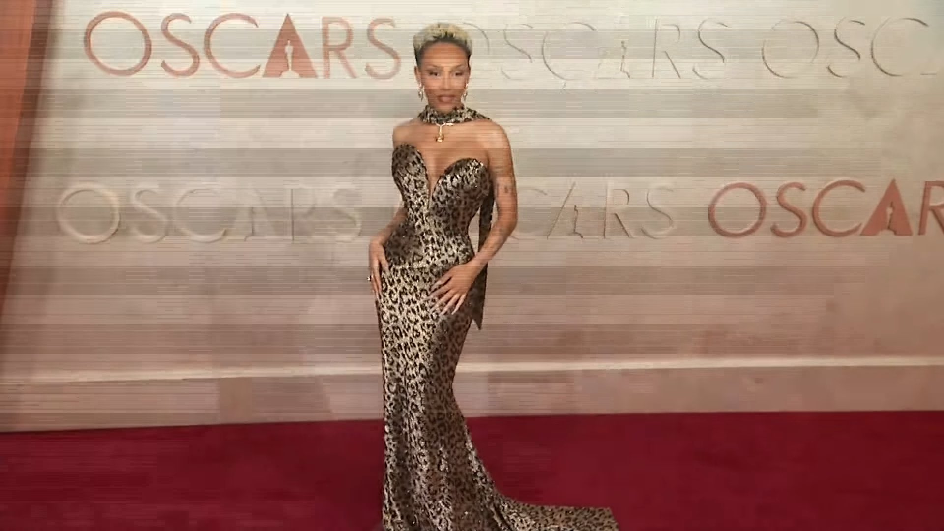 Film Updates Cat stuns at the 2025 #Oscars