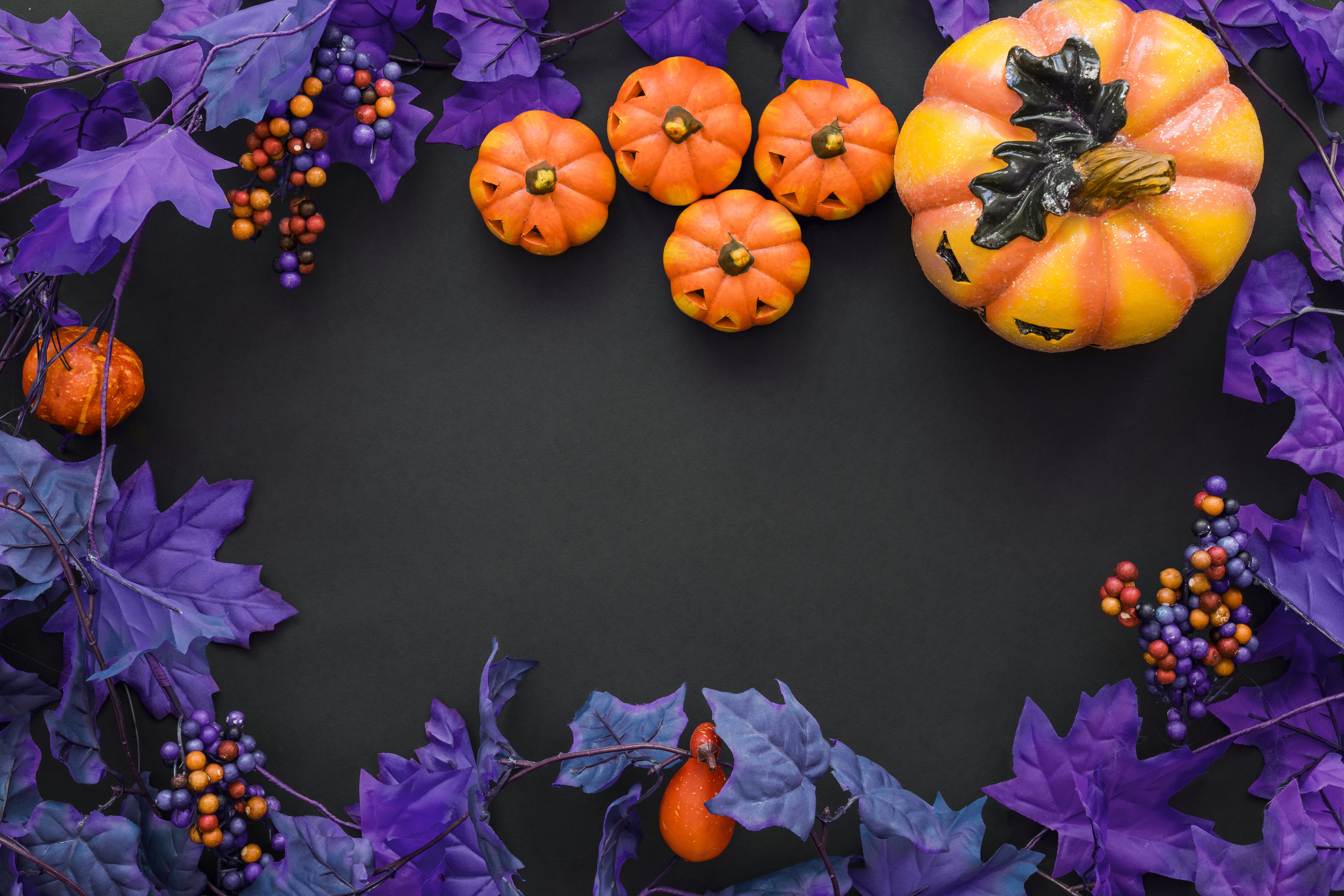 Wallpaper purple, Halloween, pumpkin, Halloween, berries, pumpkin for mobile and desktop, section праздники, resolution 6000x4000