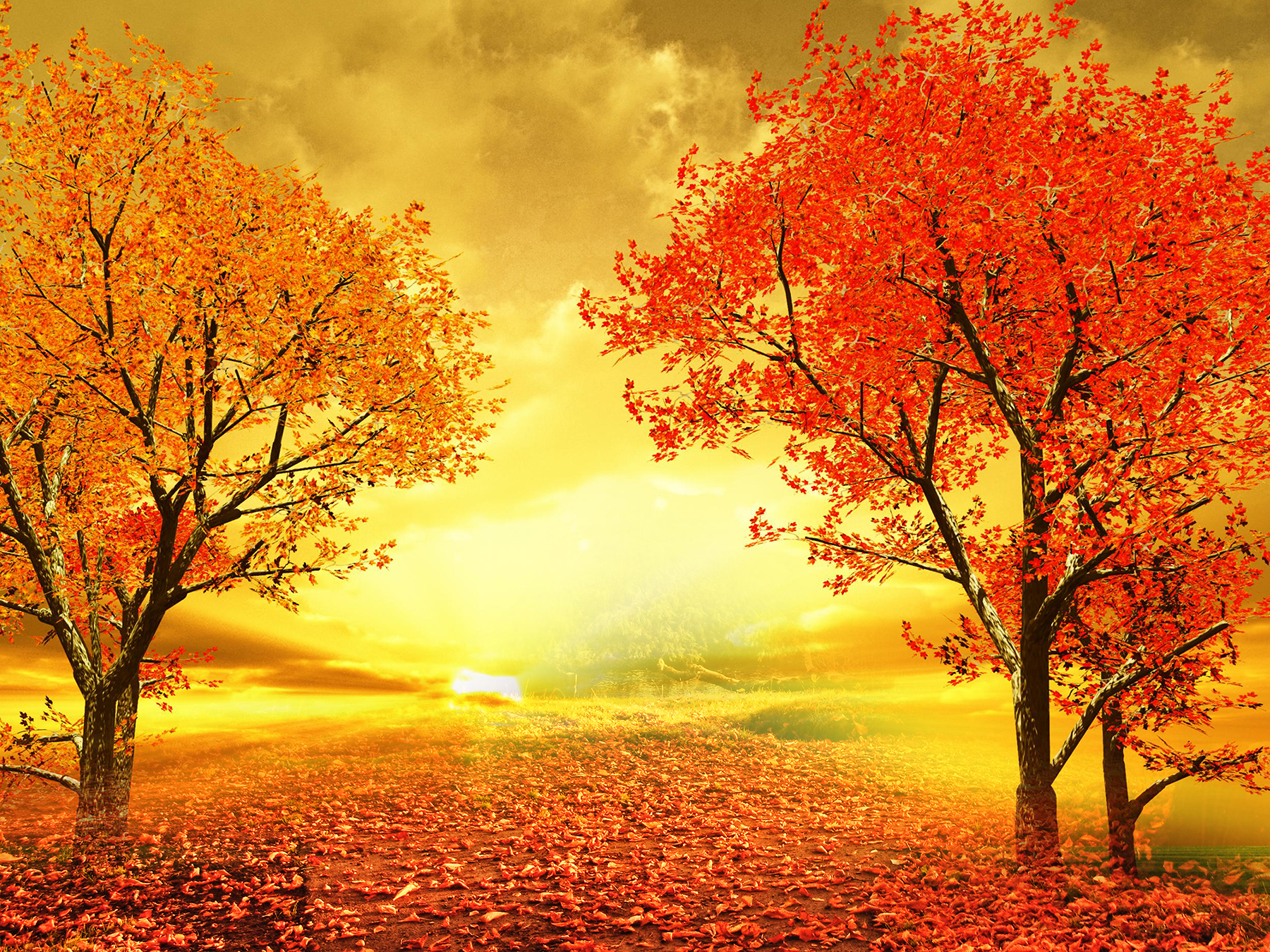 Autumn Glow: Artistic HD Fall Leaves