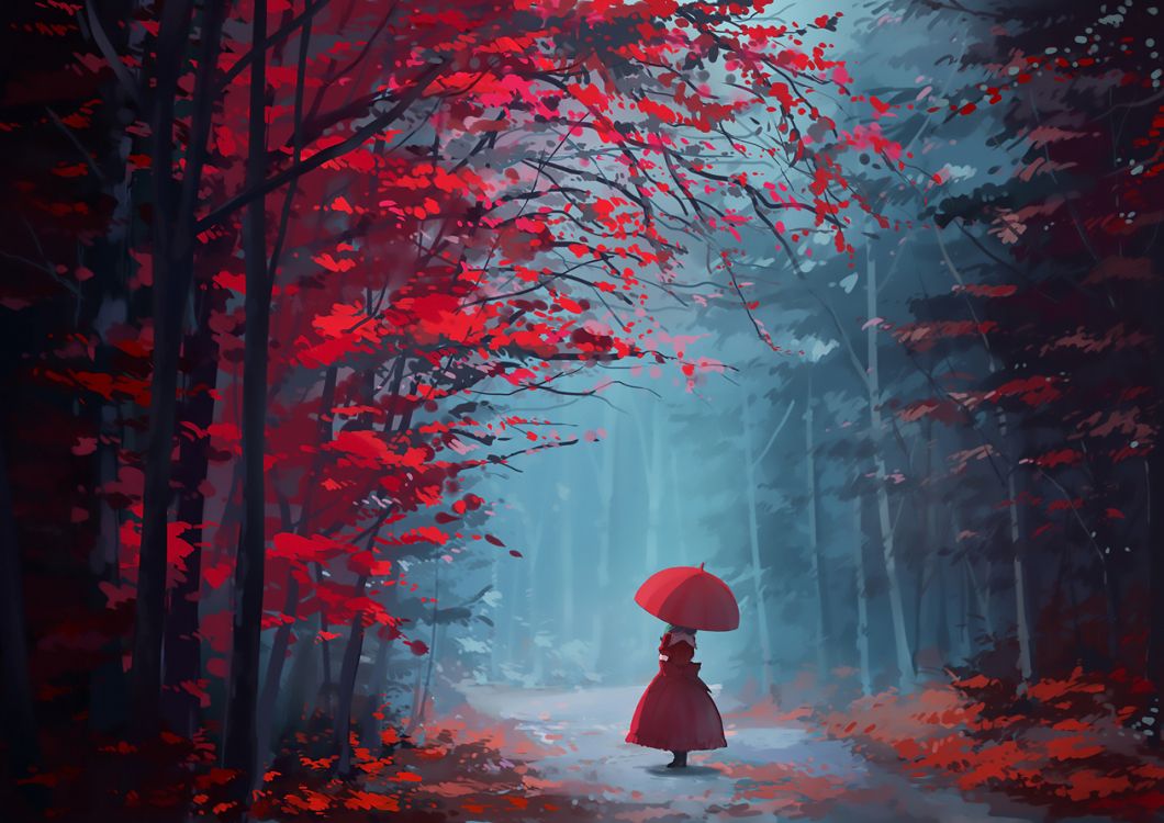 Wallpaper Person Holding Red Umbrella Standing on Forest During Foggy Day, Background Free Image