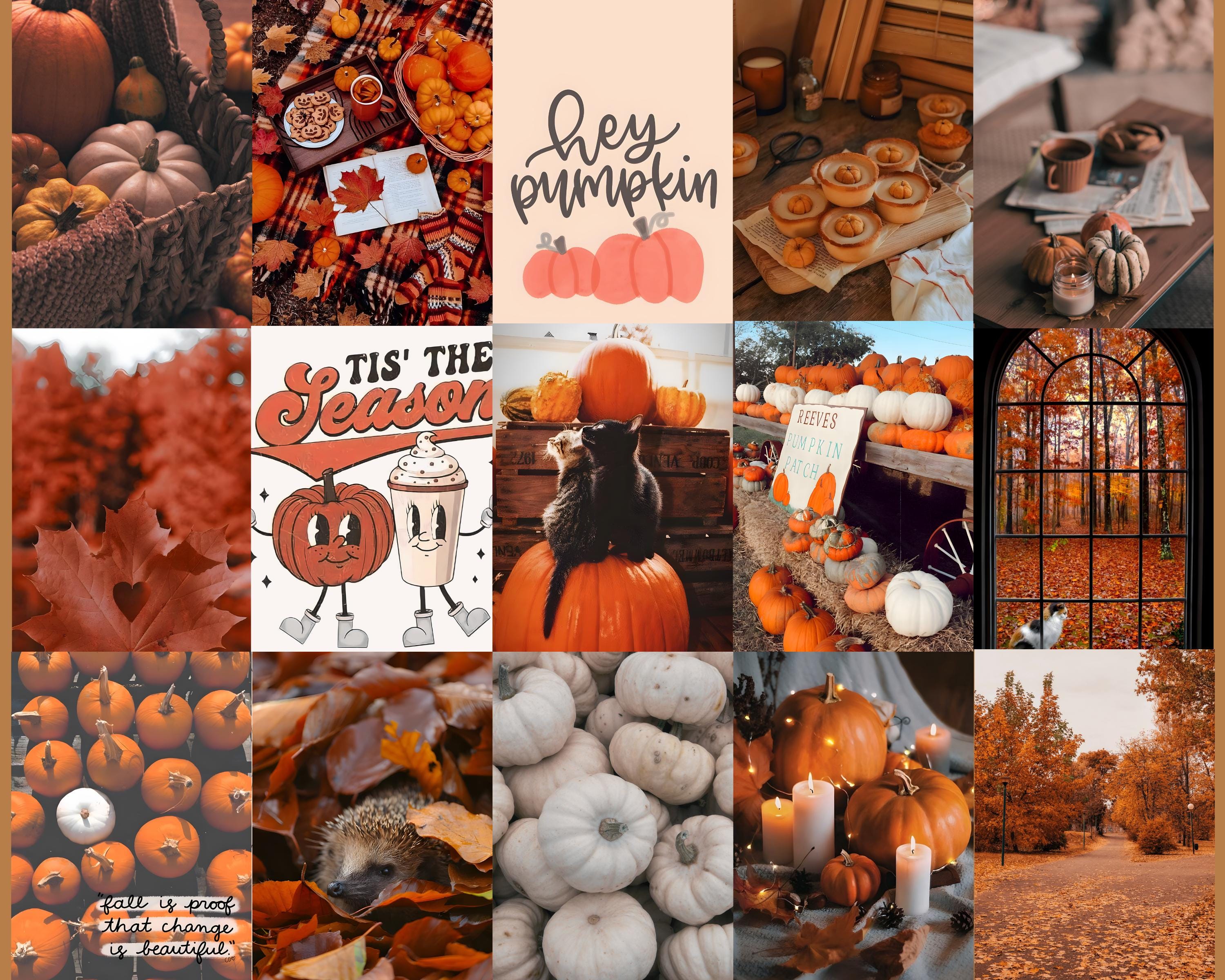 PCS Fall Aesthetic Collage Kit Cozy Autumn Wall Art Rustic Vintage Decor Pumpkin Spice Vibes Hygge Seasonal Posters Trendy Room Art