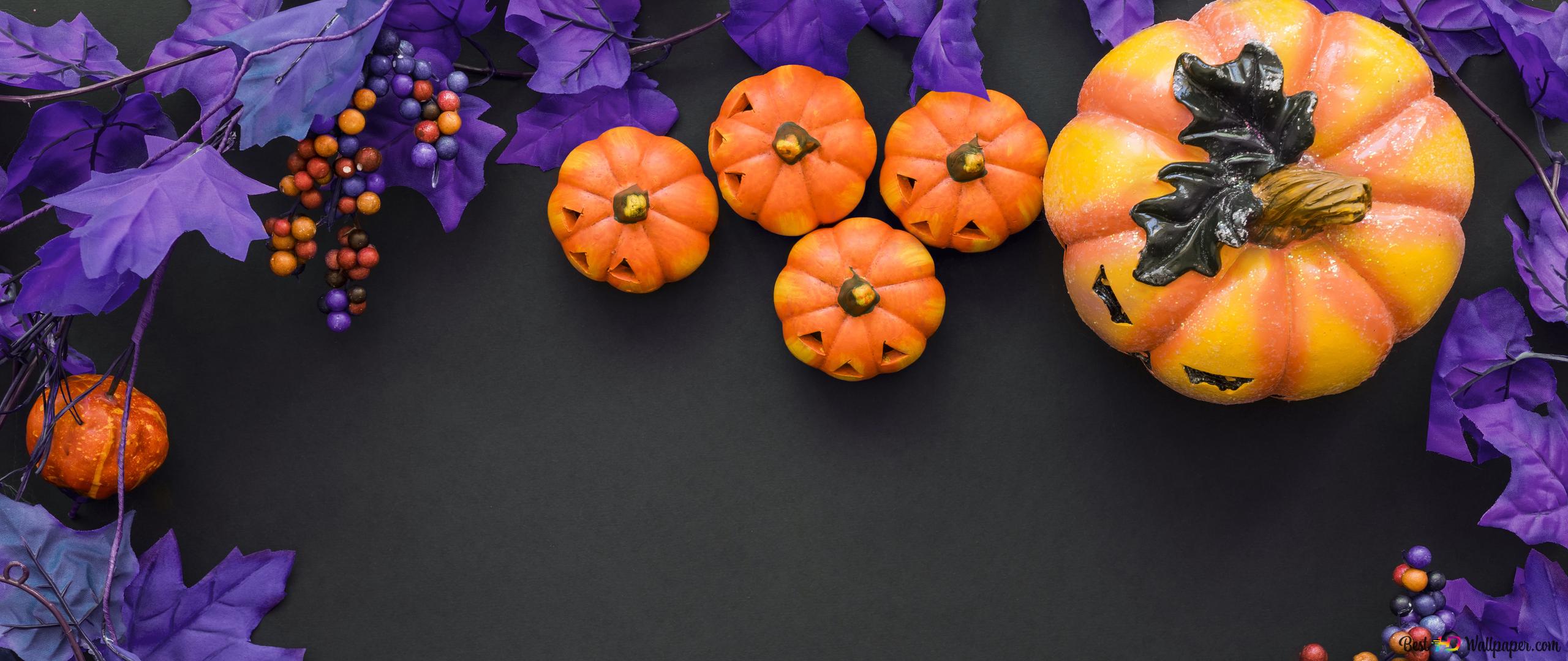 Purple leaf and pumpkins 4K wallpaper download