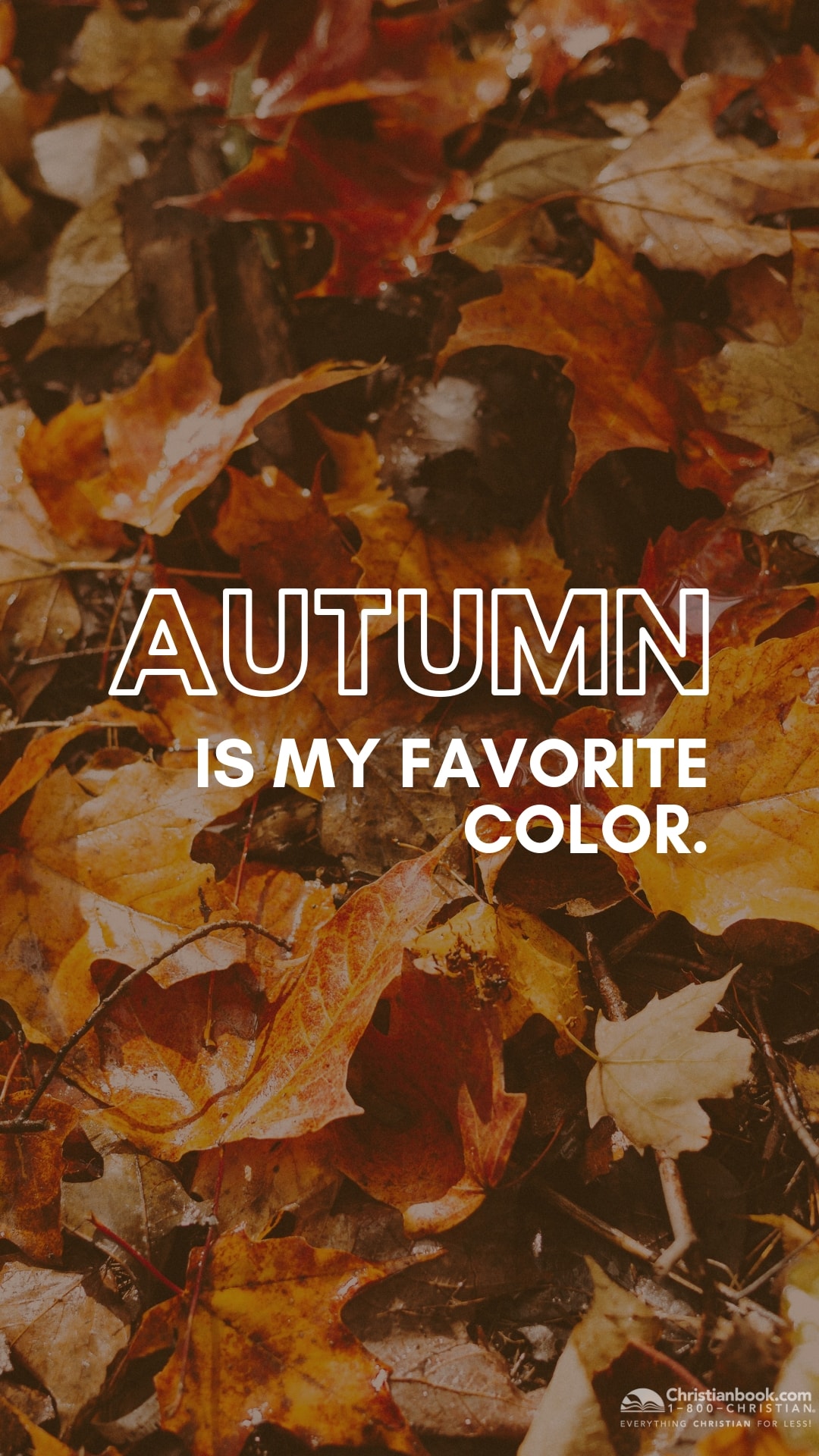 DOWNLOAD // Fall Desktop Wallpaper.com Blog