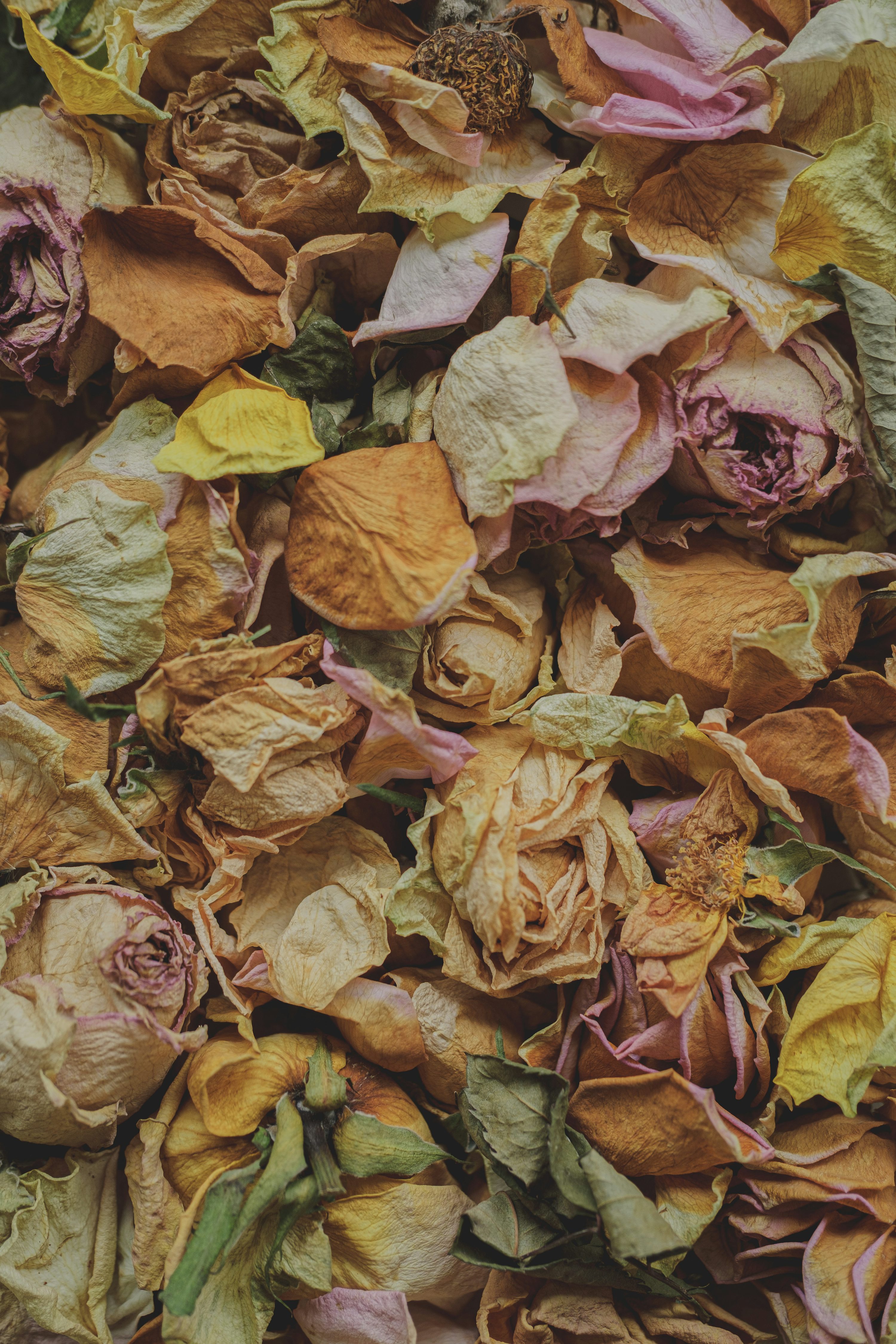 A pile of dried flowers sitting on top of a table photo