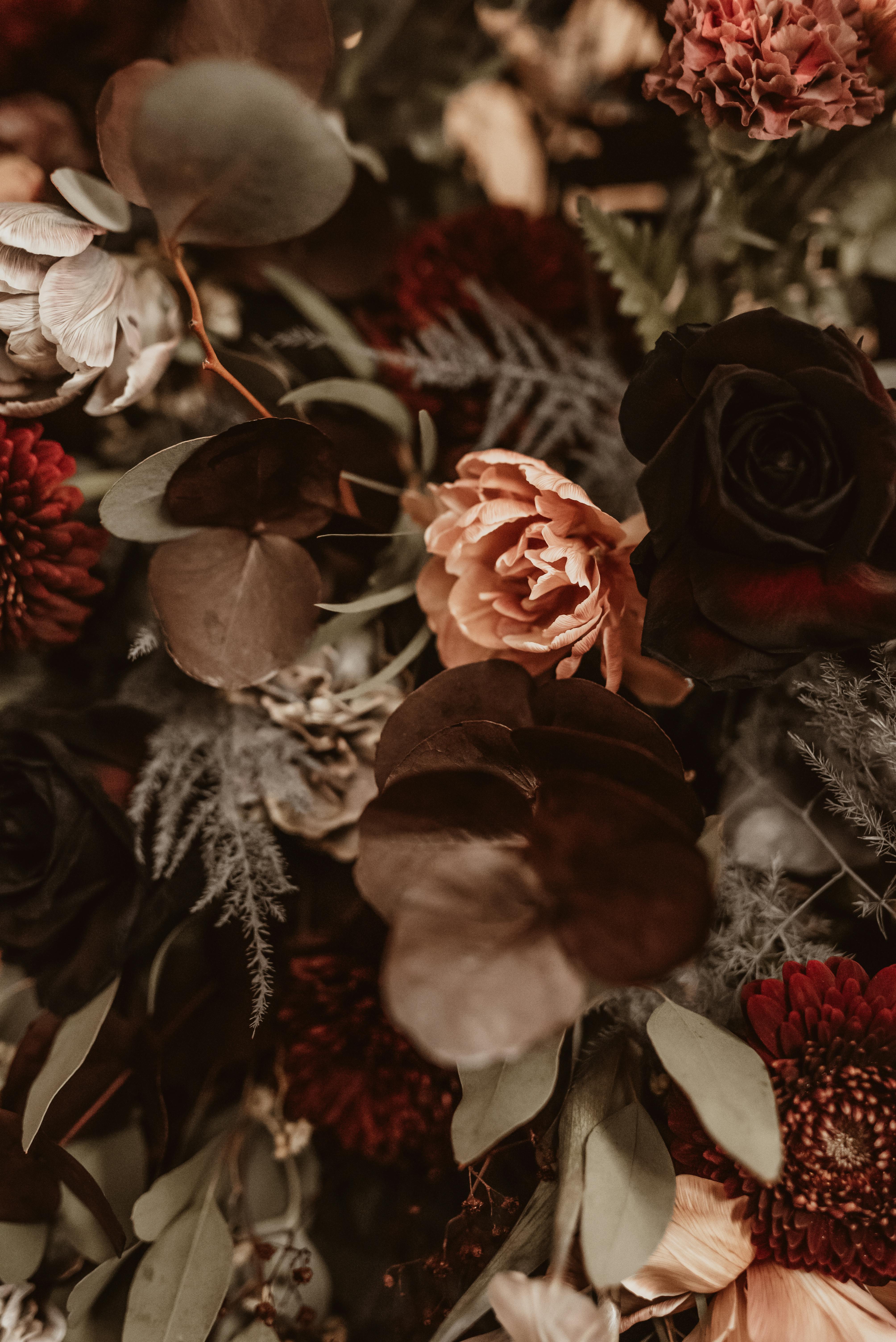Close Up Of A Bouquet Of Dried Flowers · Free