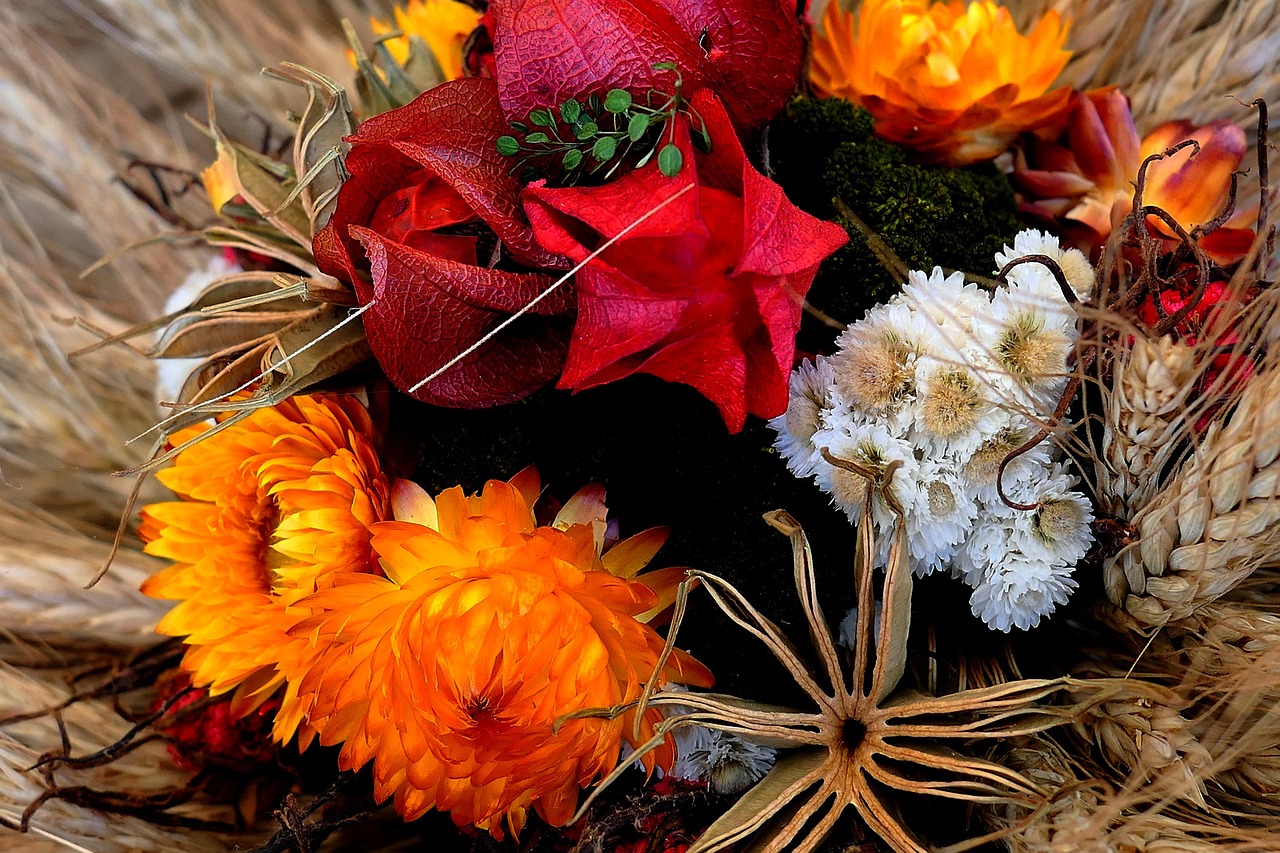 Flower Dried Flowers Blossom