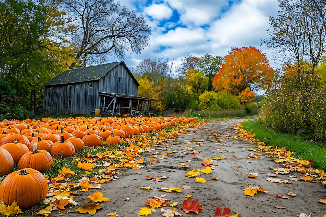 Autumn Background Rustic Farmhouse Pumpkin Patch Backdrop BRP10 250