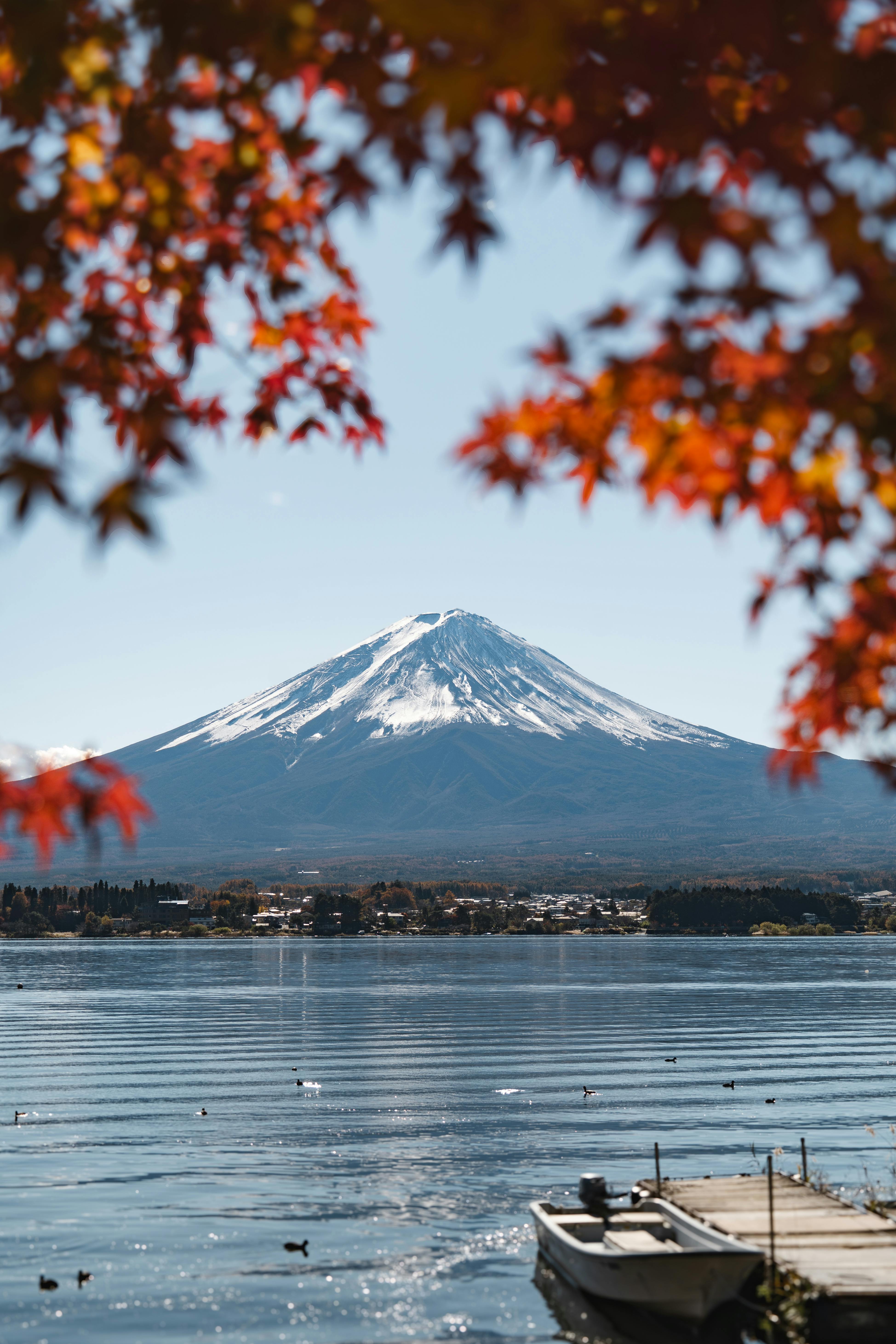 Majestic Mount Fuji Framed by Autumn Leaves · Free