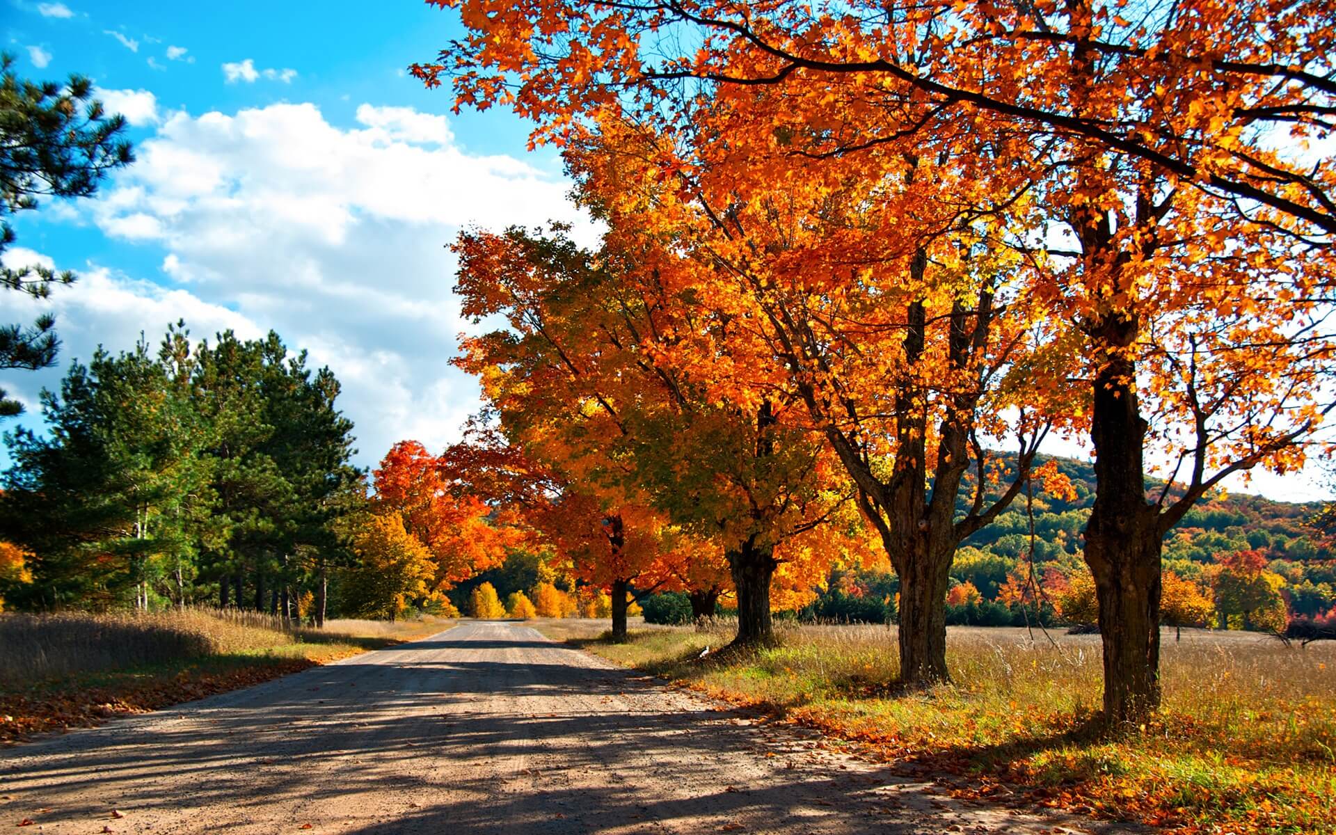 Autumn Wallpaper