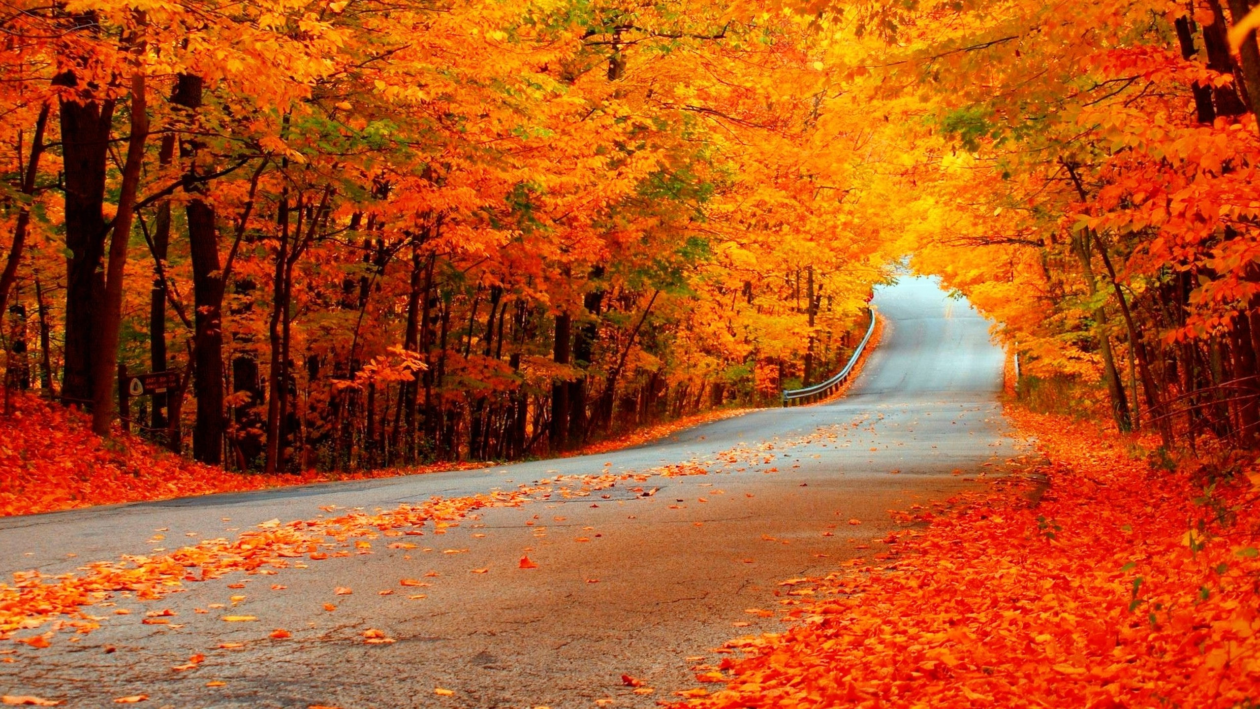Autumn Scenery Wallpaper