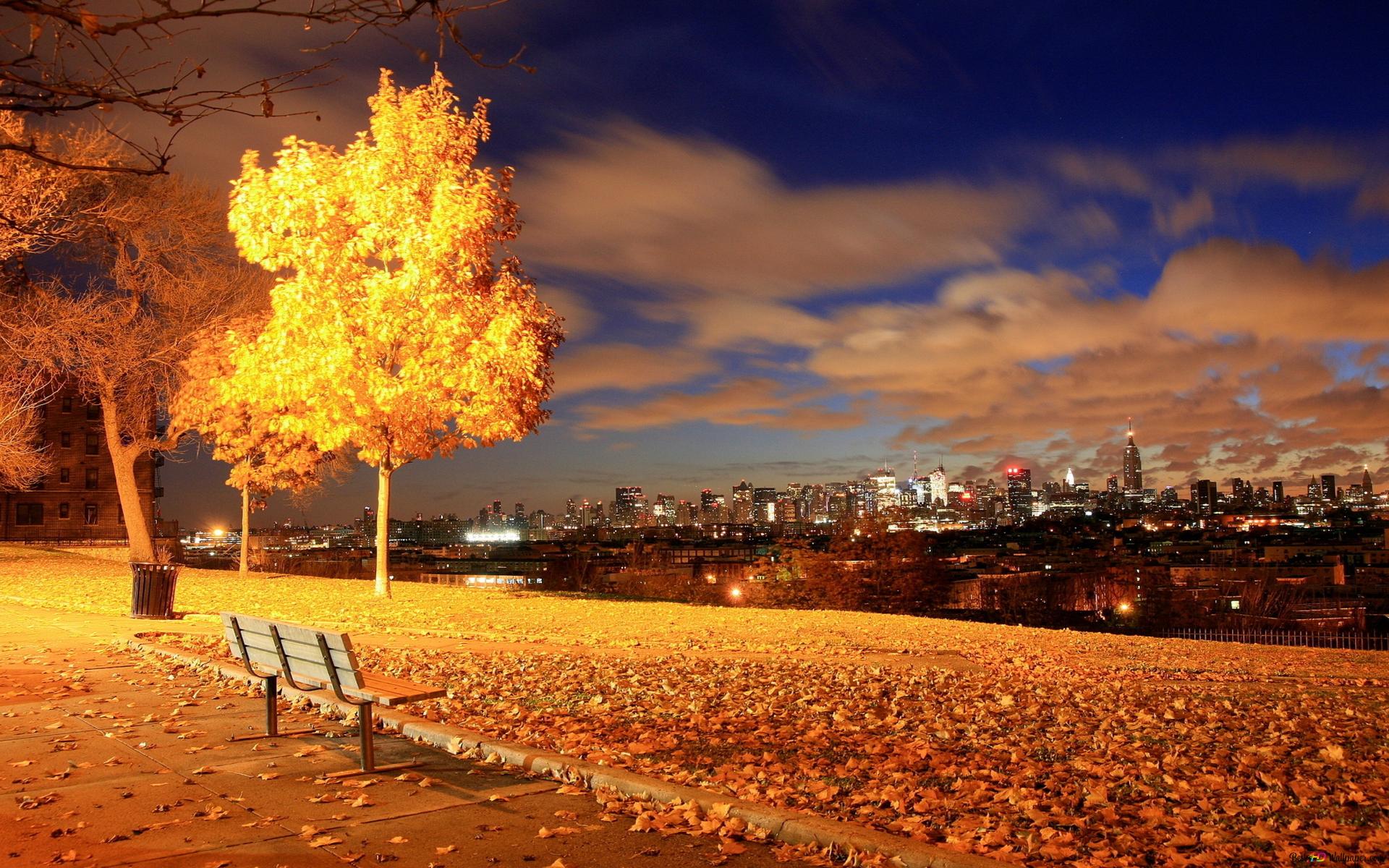 Nature fall 4K wallpaper download