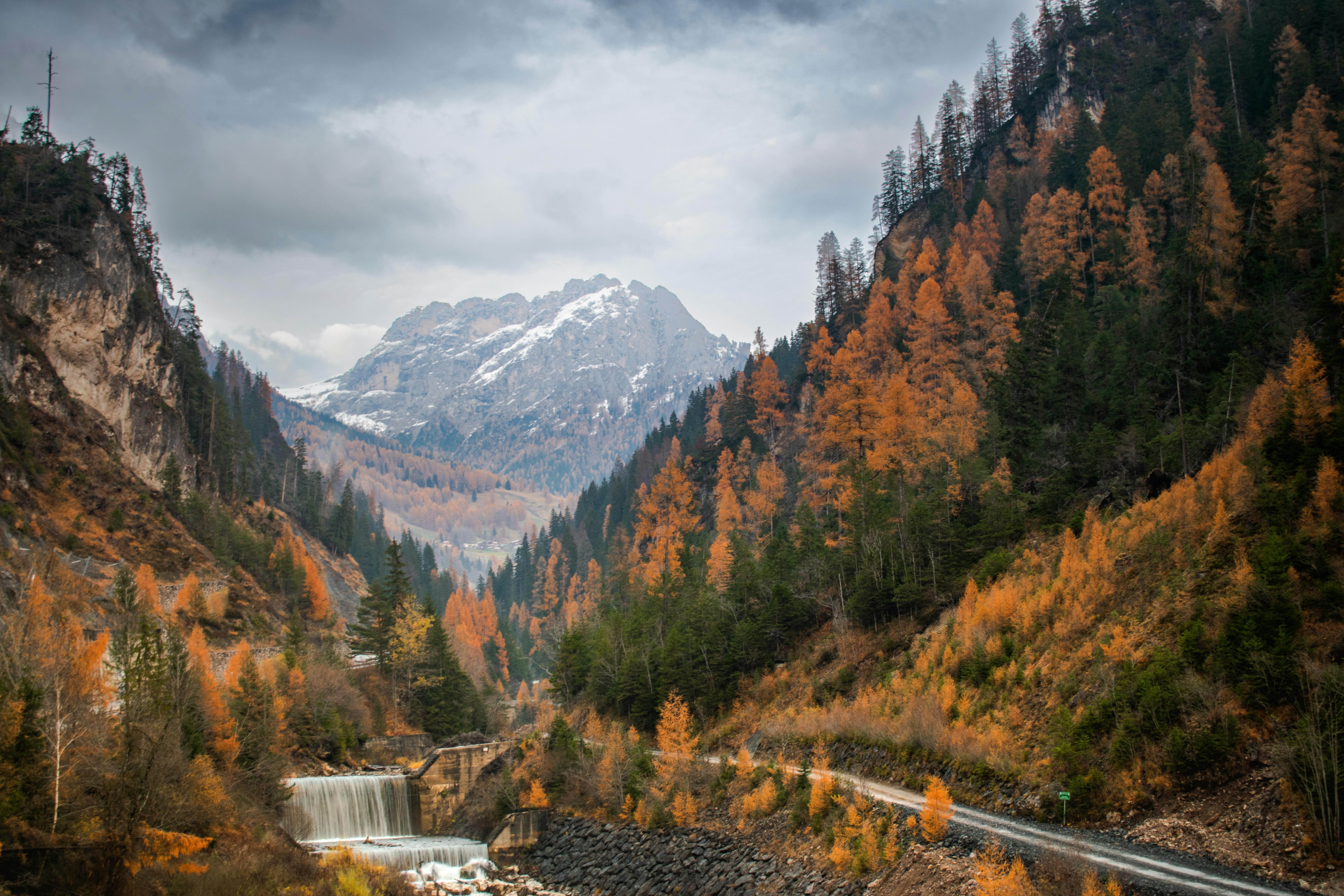 Autumn Forest around Valley in Mountains · Free