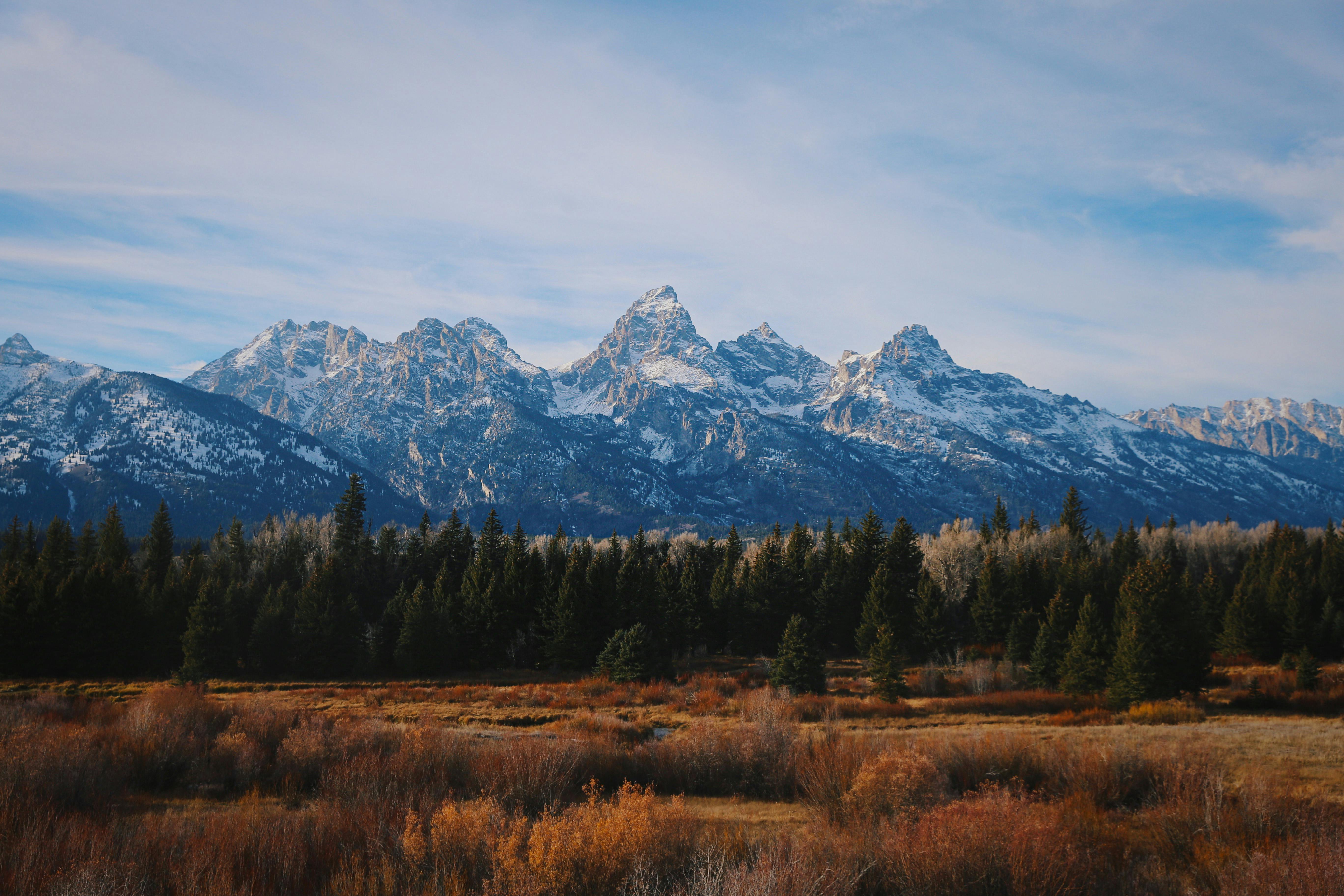 Autumn Landscape · Free