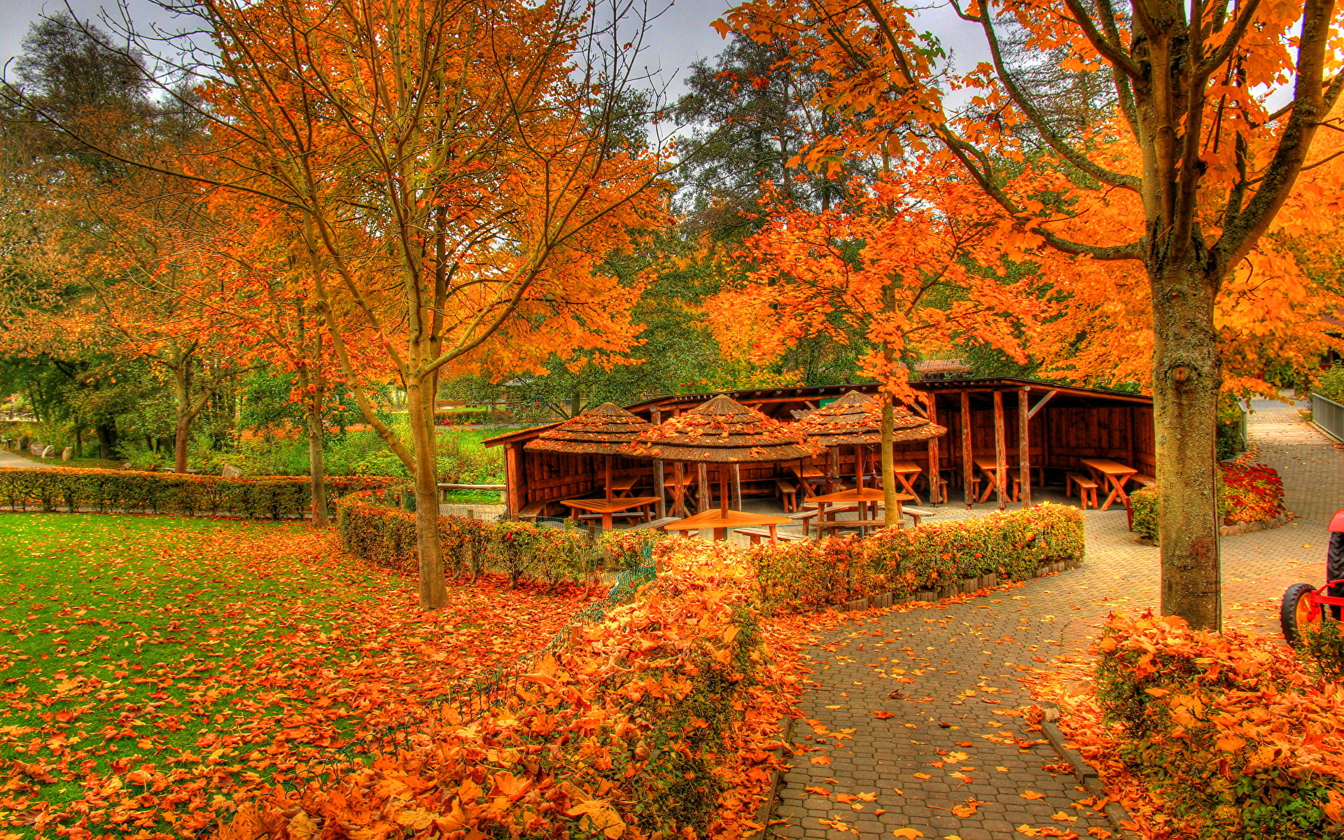 Desktop Wallpaper Germany Autumn Nature Seasons 1920x1200