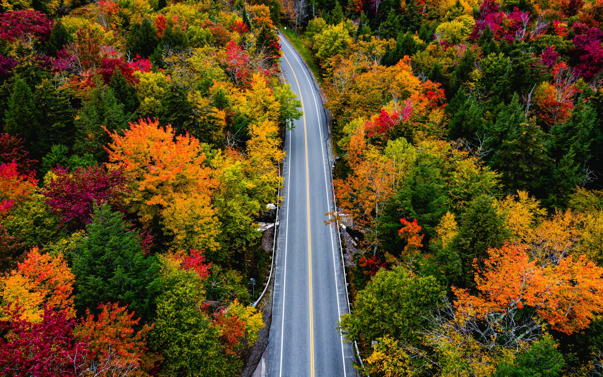 Autumn Wallpaper 4K, Landscape, Road, Maple trees