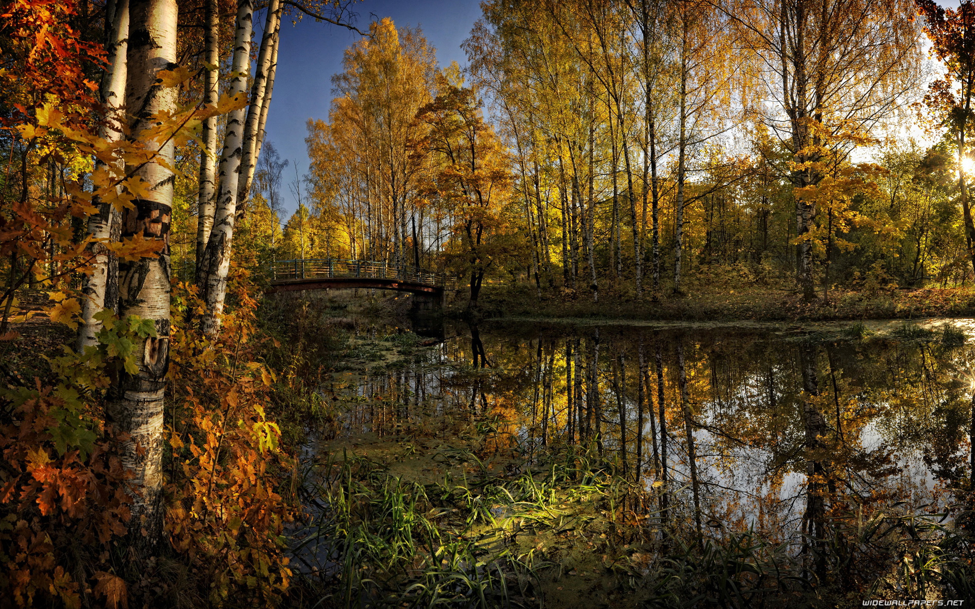 Autumn desktop wallpaper HD and wide wallpaper
