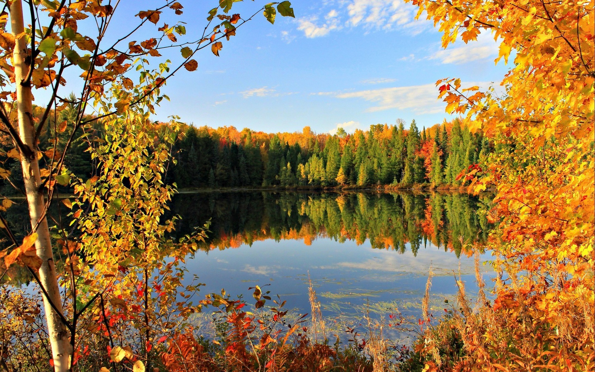 lake, Fall Wallpaper HD / Desktop and Mobile Background