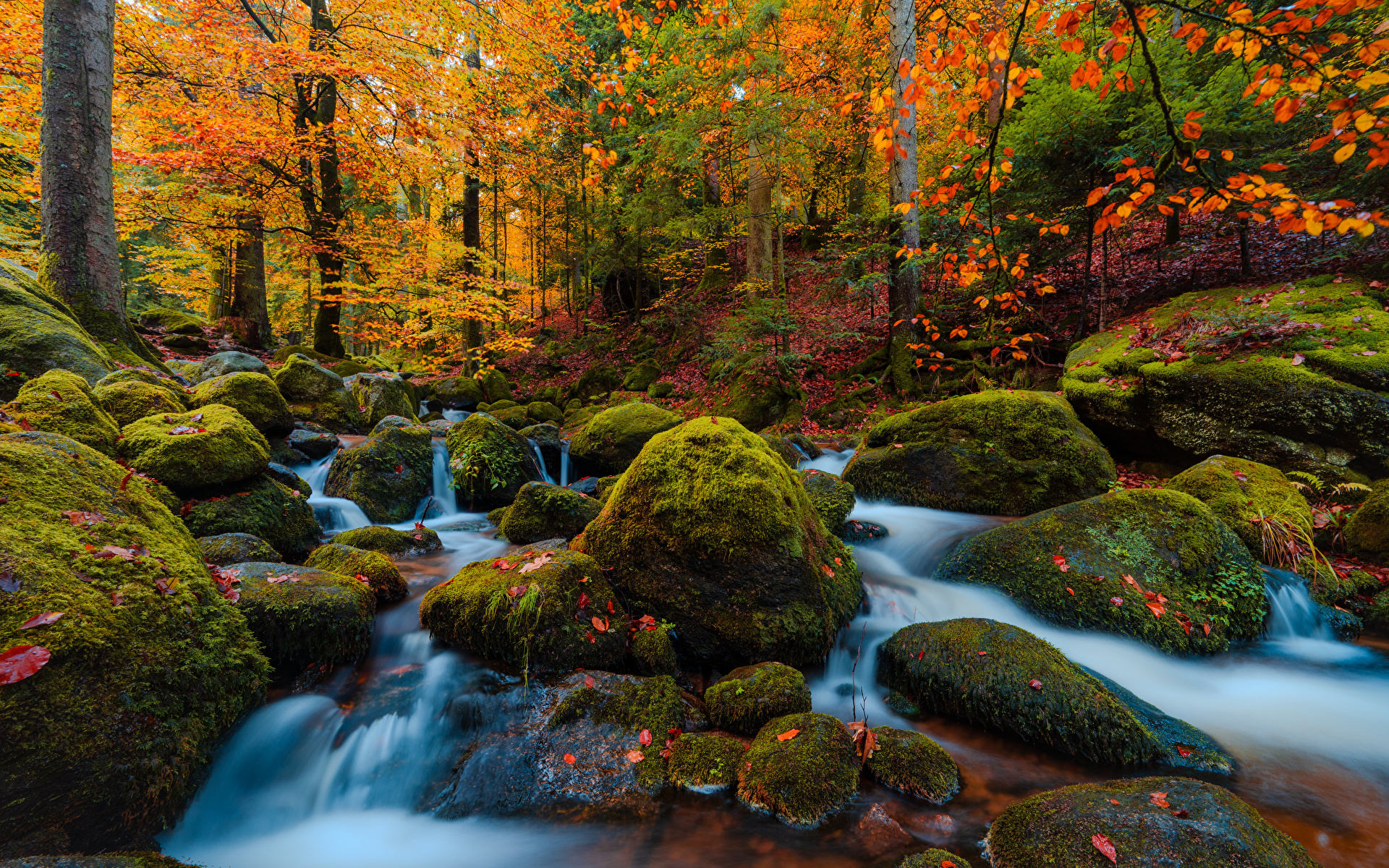 Desktop Wallpaper Germany Gertelbach Autumn Nature 1920x1200