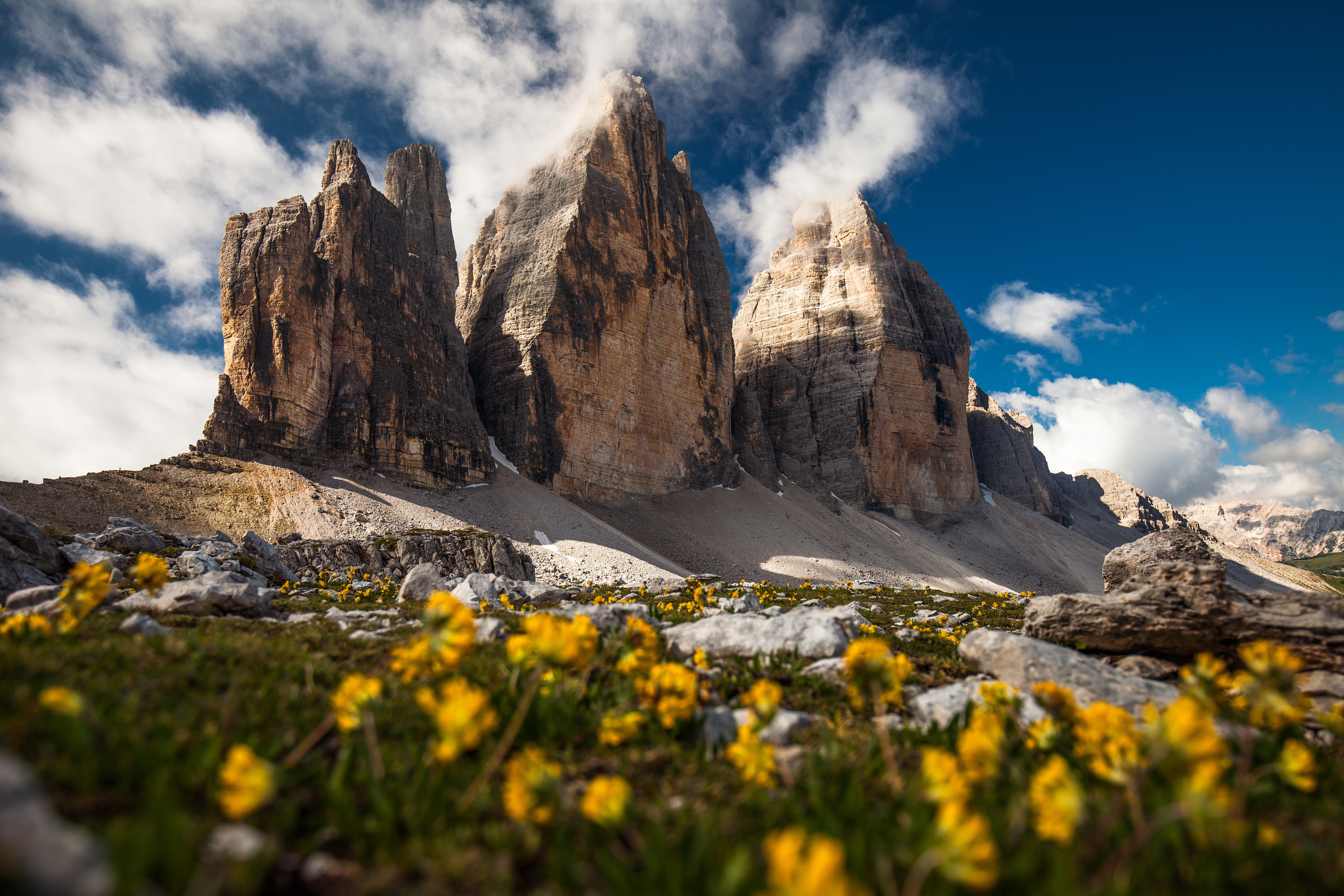 Tre Cime di Lavaredo: Stunning Dolomites Cliffs with Alpine Flowers in Summer 4K UHD