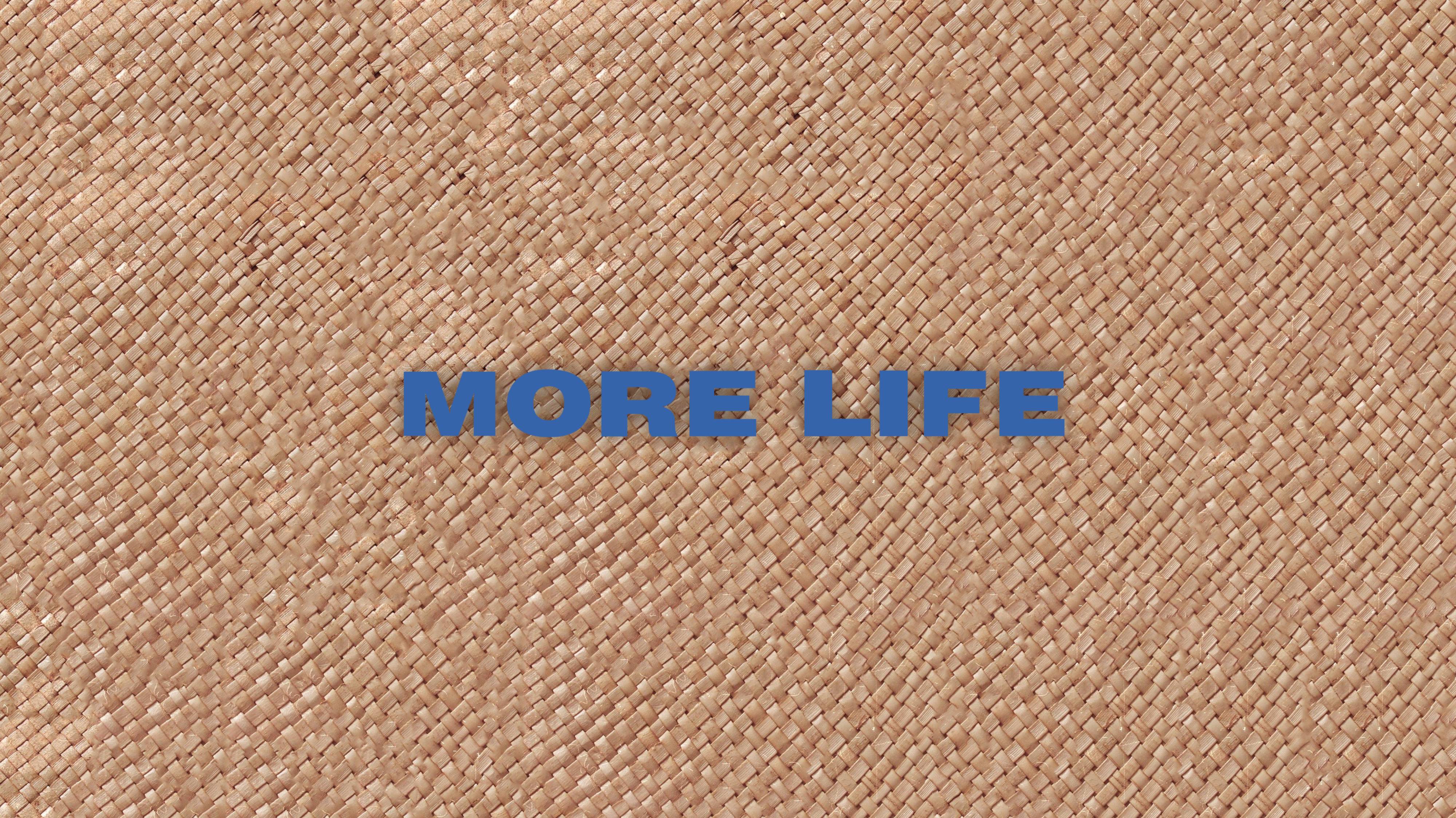 More Life Drake Wallpaper