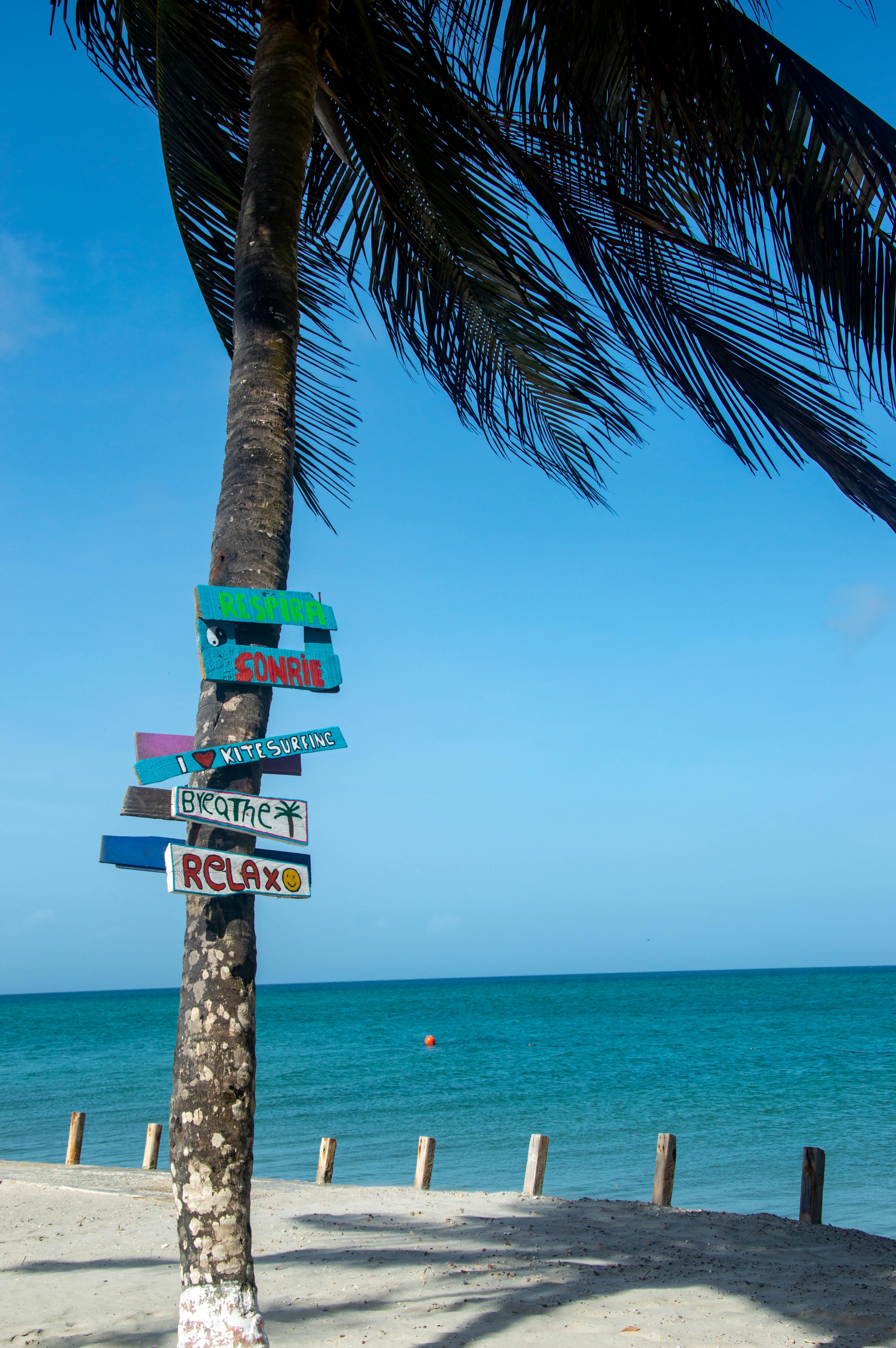 Signpost in Seaside · Free