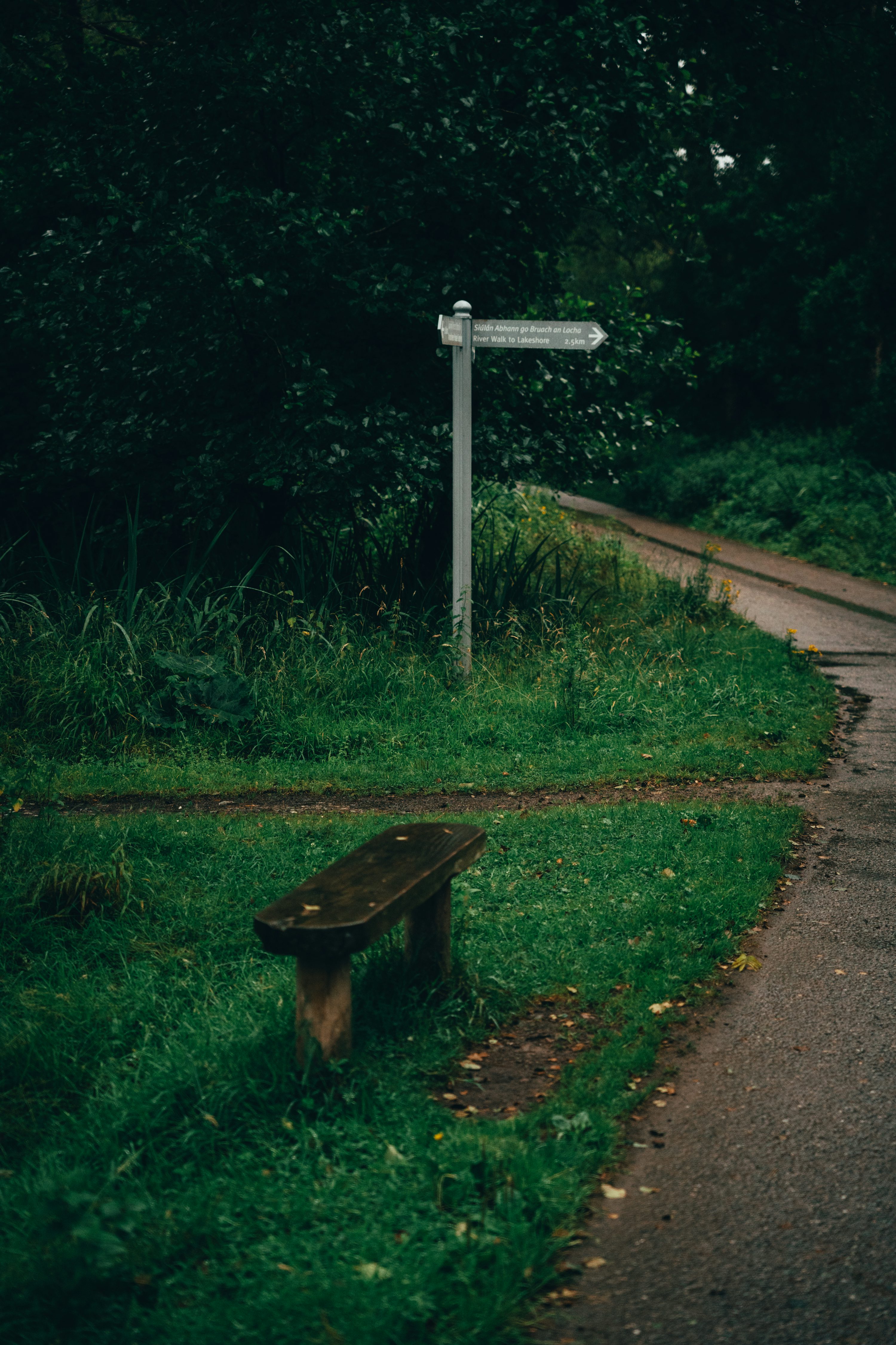 A wooden bench sits by a signpost in a park. photo