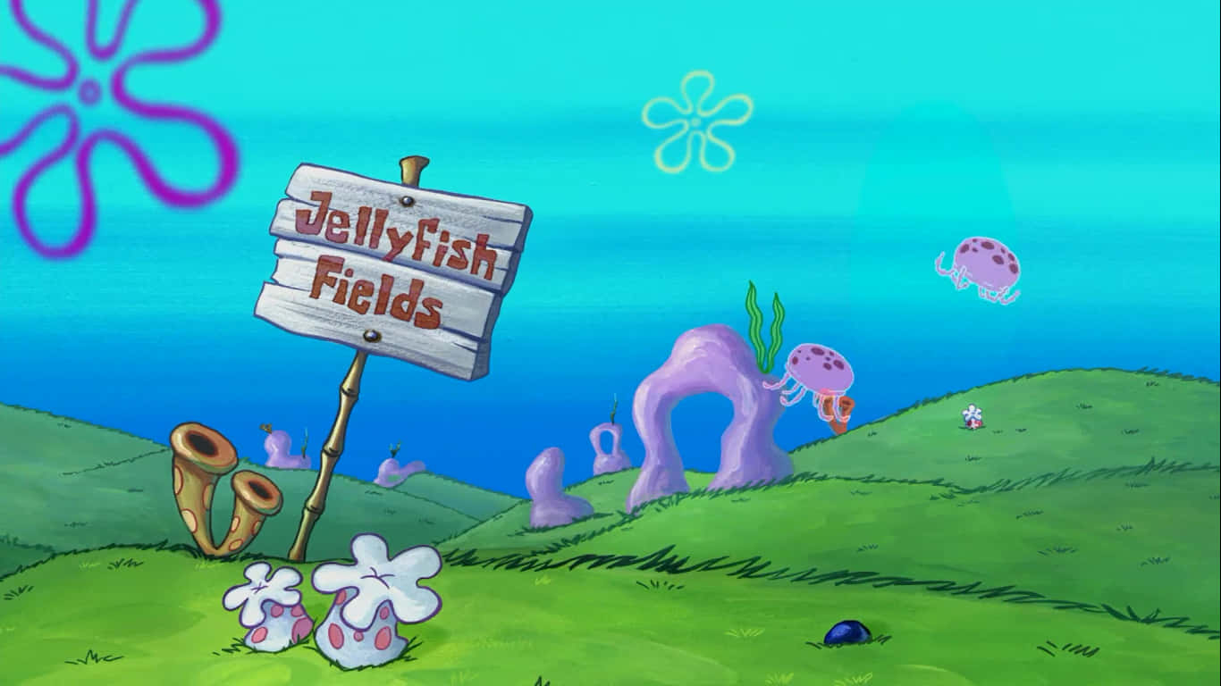 Download Jellyfish Fields Signpost Wallpaper