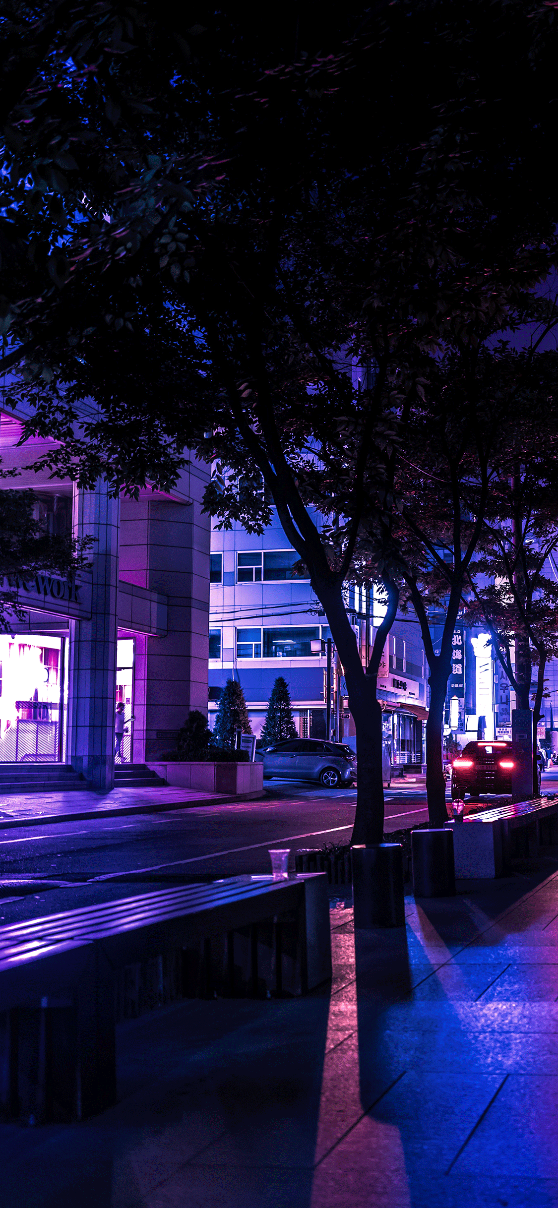 Purple Wallpaper for iPhone 11, Pro Max, X, 8, 7, 6
