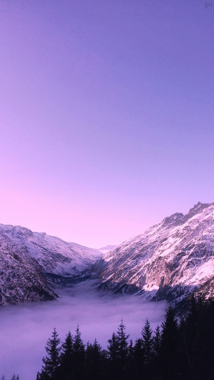 iPhone 11 Purple Wallpaper, HD iPhone 11 Purple Background on WallpaperBat