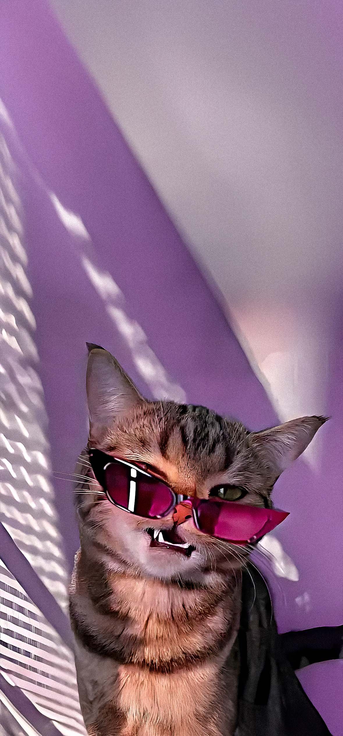 Meme Wallpaper 4k iPhone