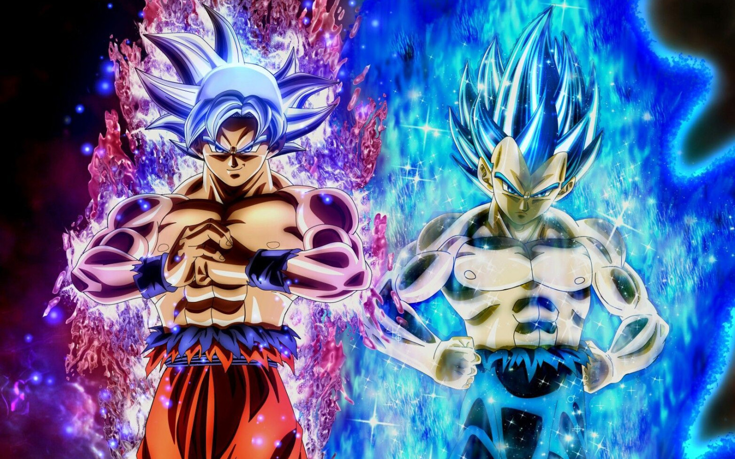 Goku And Vegeta UI Background Wallpaper 126379