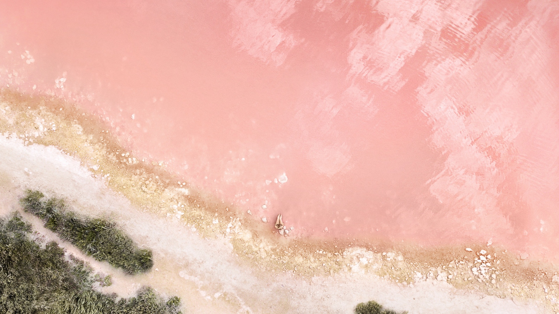 Beach Wallpaper 4K, Baby pink, Seashore, Aerial view