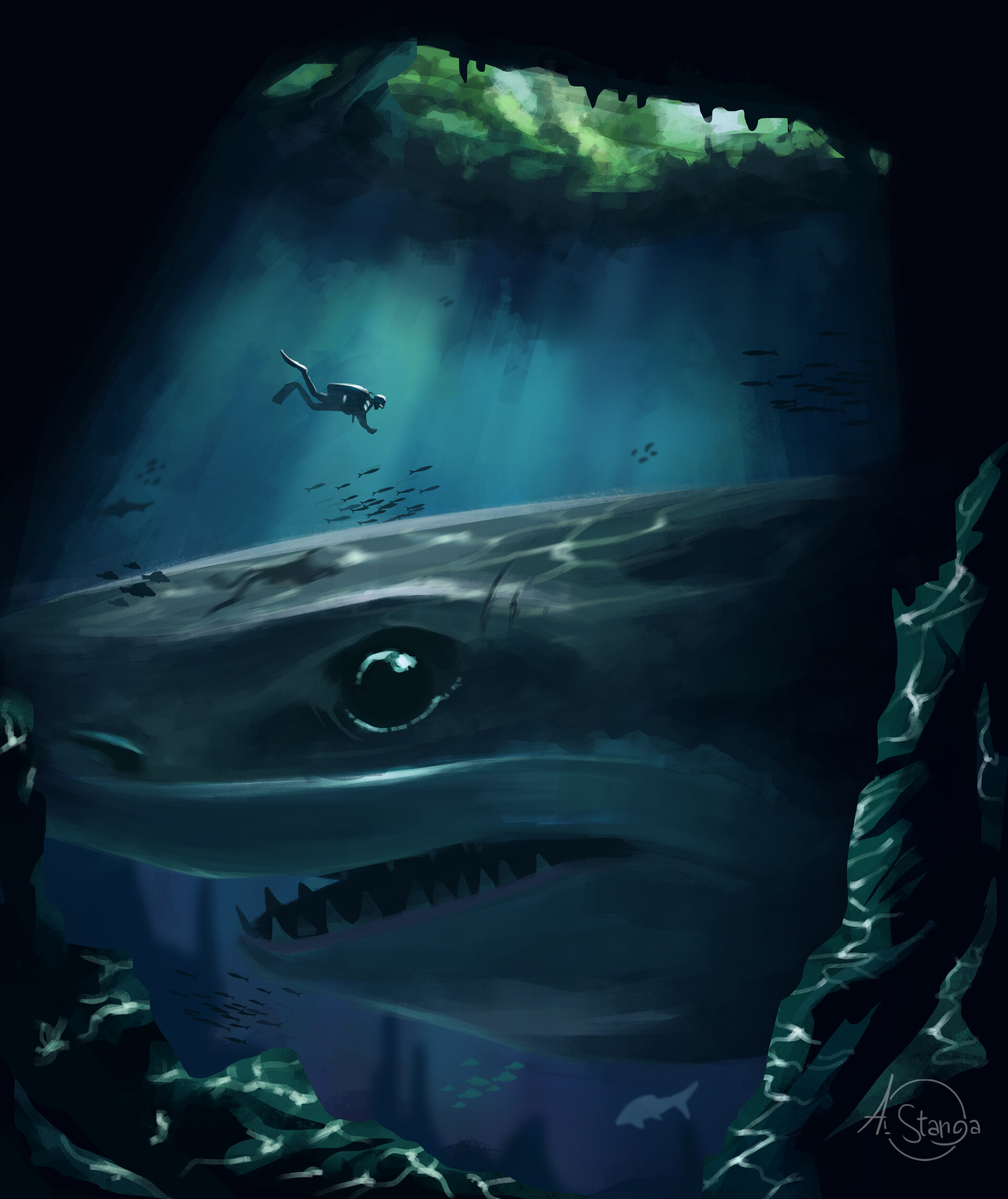 Shark Phone Wallpaper: Free 4K & HD Downloads
