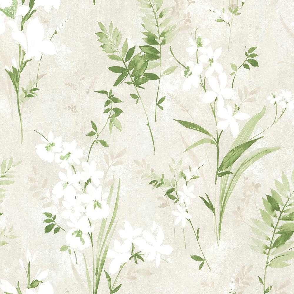 Green Floral Wallpaper, HD Green Floral Background on WallpaperBat