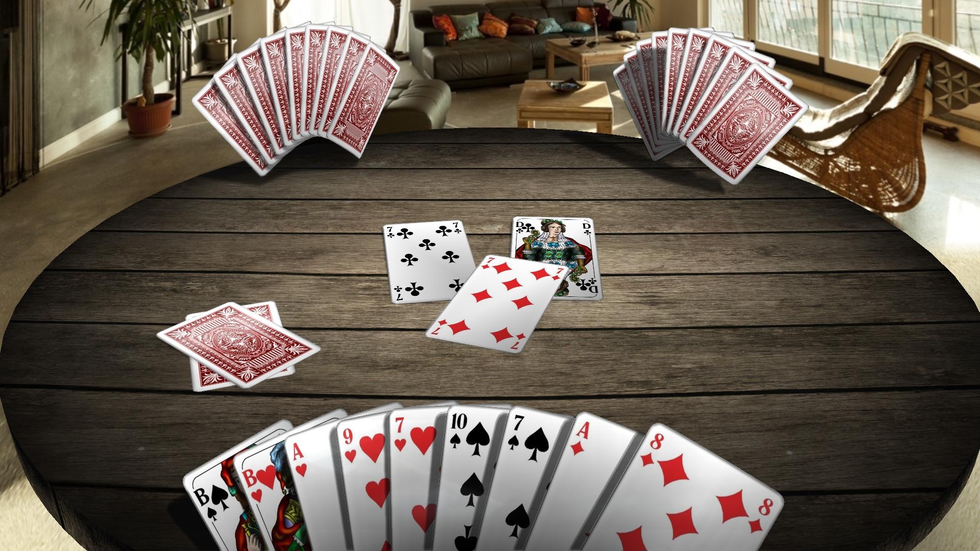 Skat 3D Premium for Steam Video Games Museum