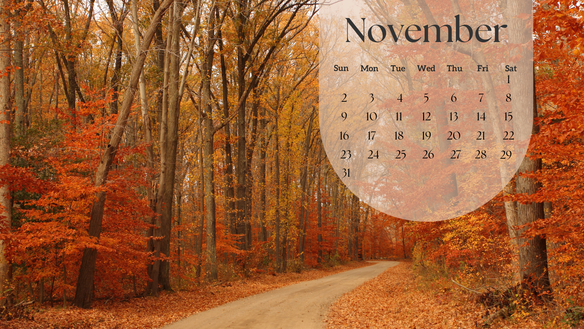 Free November 2025 Desktop Calendar Background (EASY DOWNLOAD)